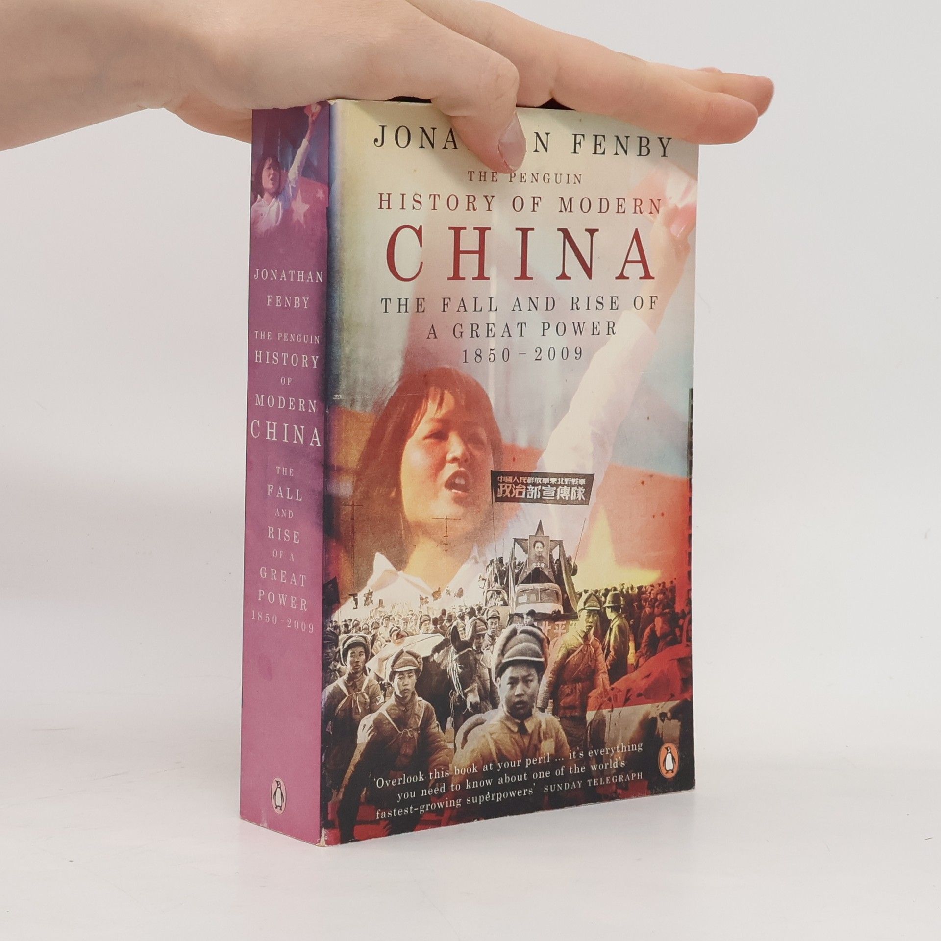 The Penguin history of modern China : the fall and rise of a great power, 1850-2009