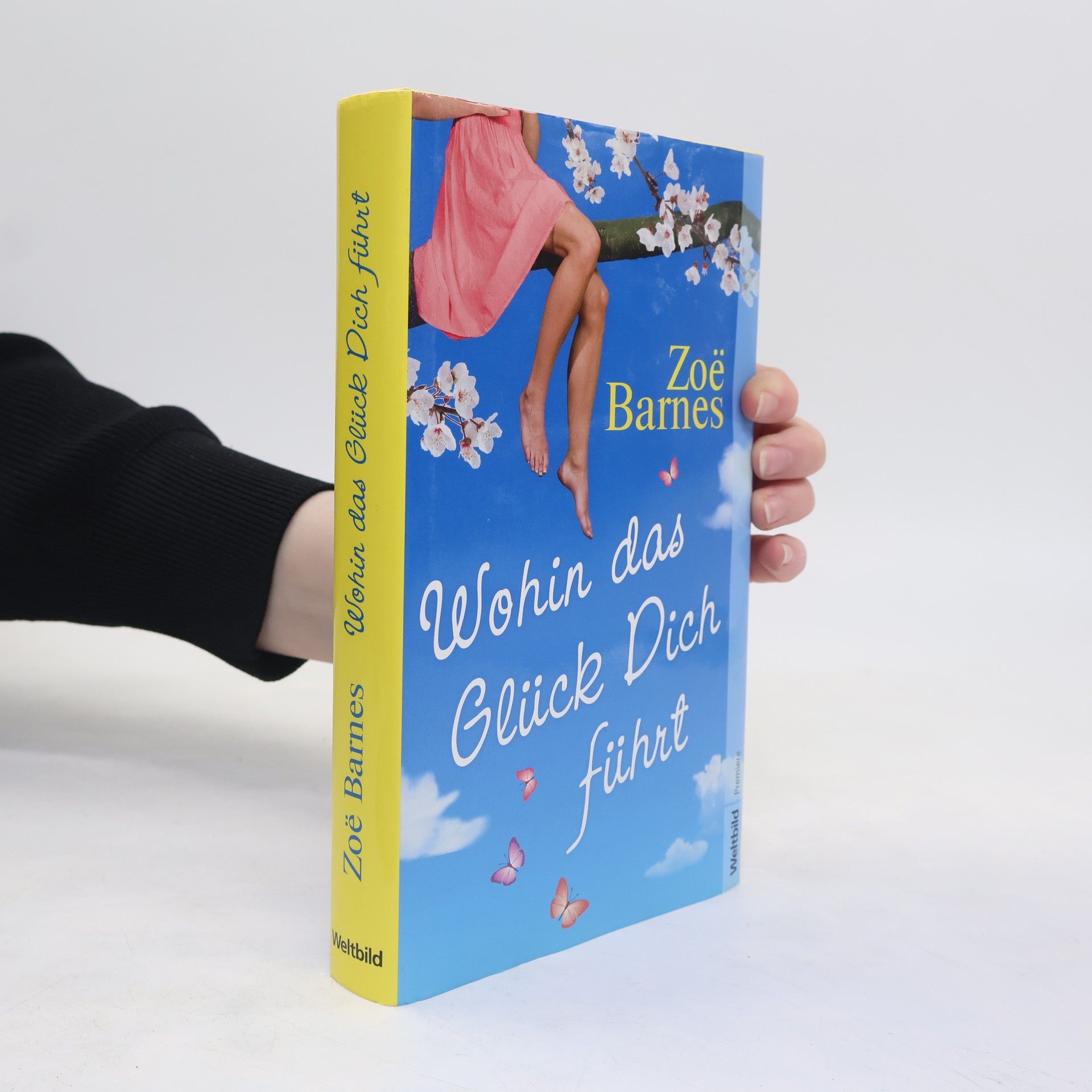 Zoe͏̈ Barnes Wohin das Glück Dich führt