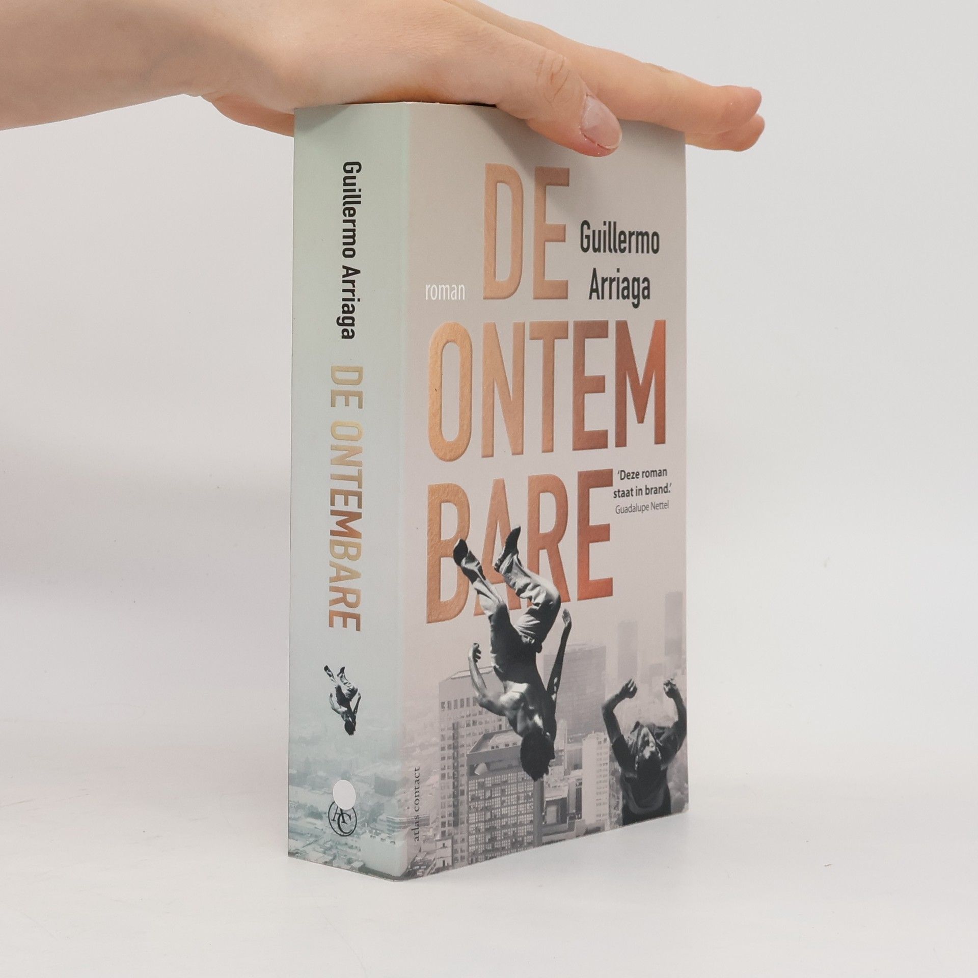 Guillermo Arriaga De ontembare