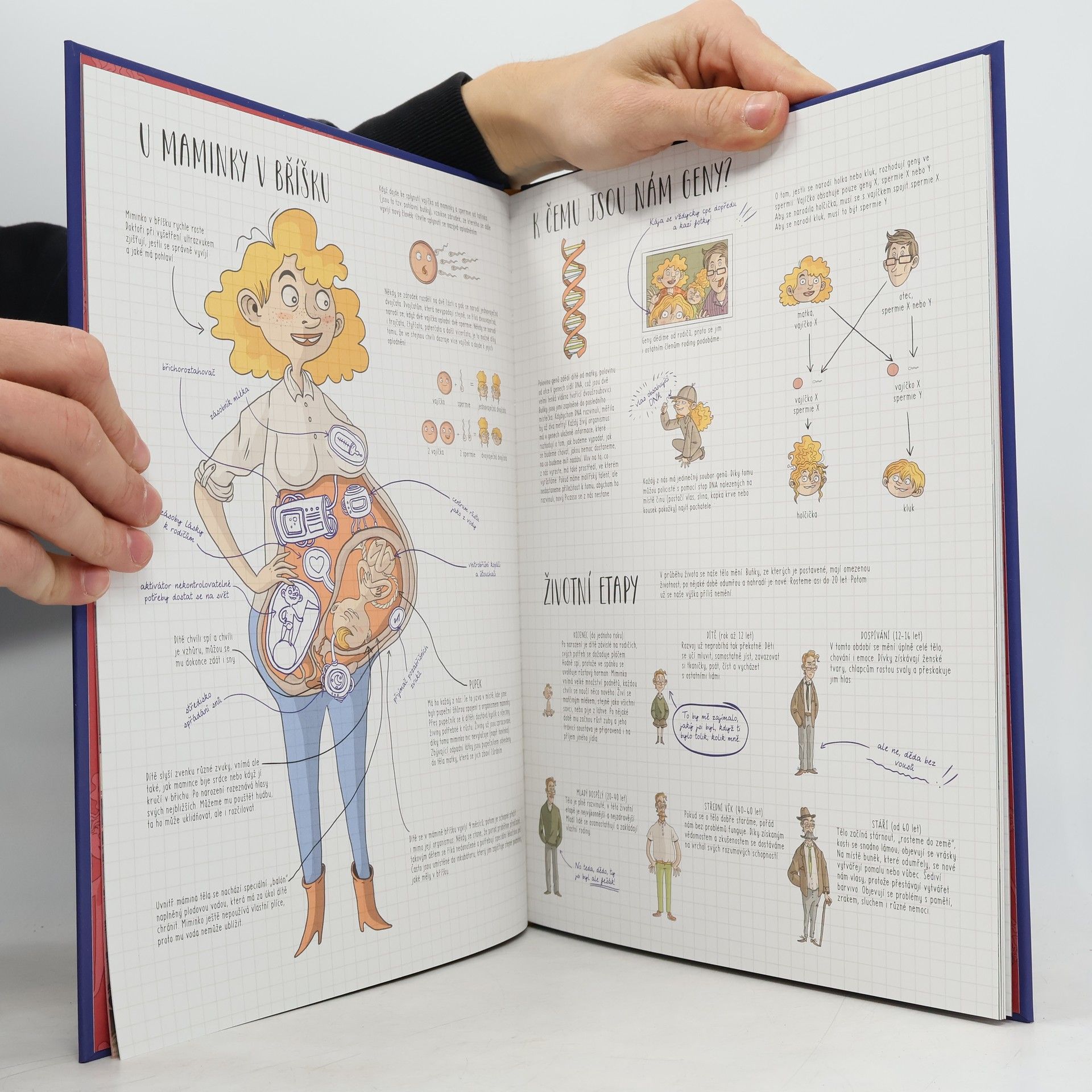 Nikola Kucharska Lidské tělo - zábavná anatomie pro děti