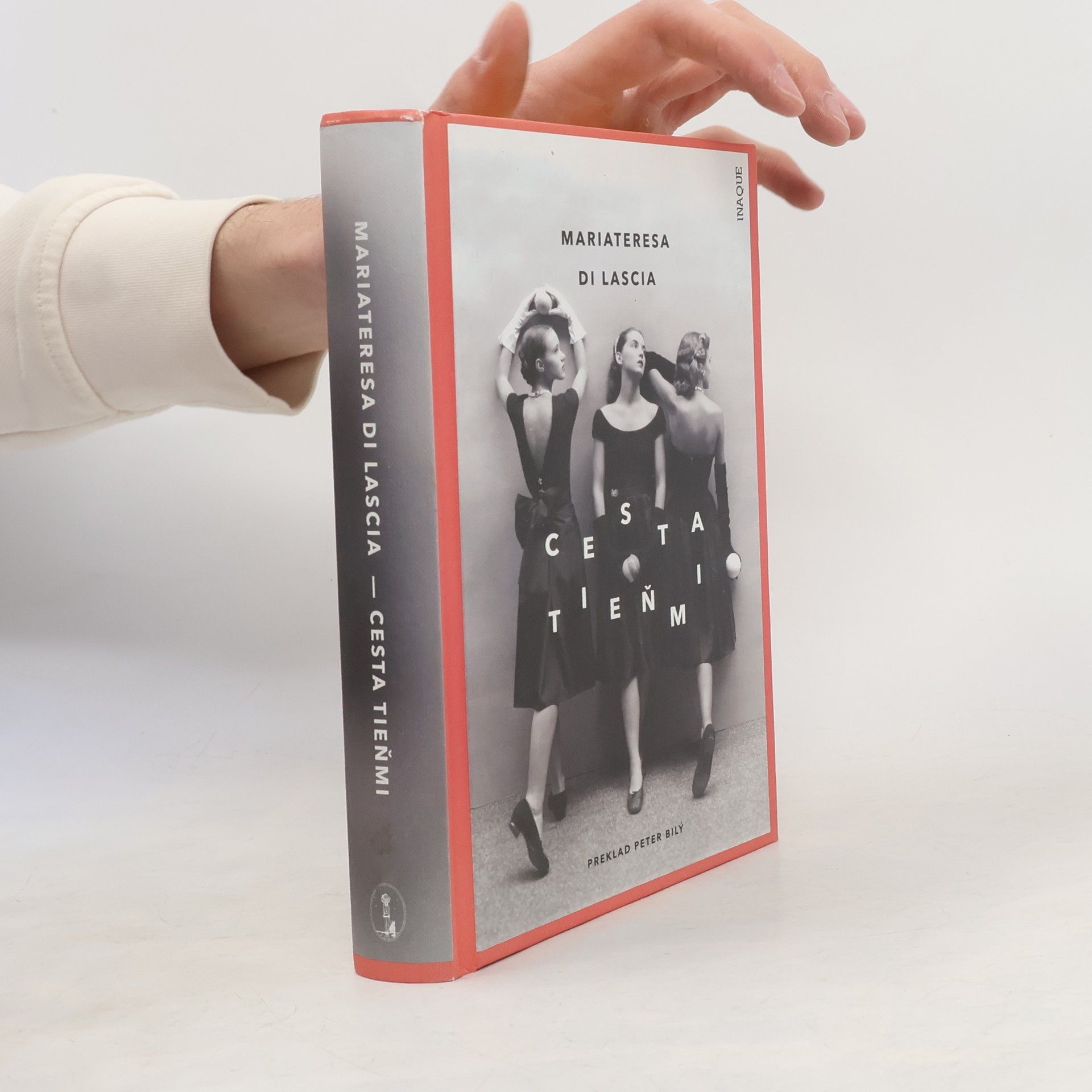 Mariateresa Di Lascia Cesta tieňmi