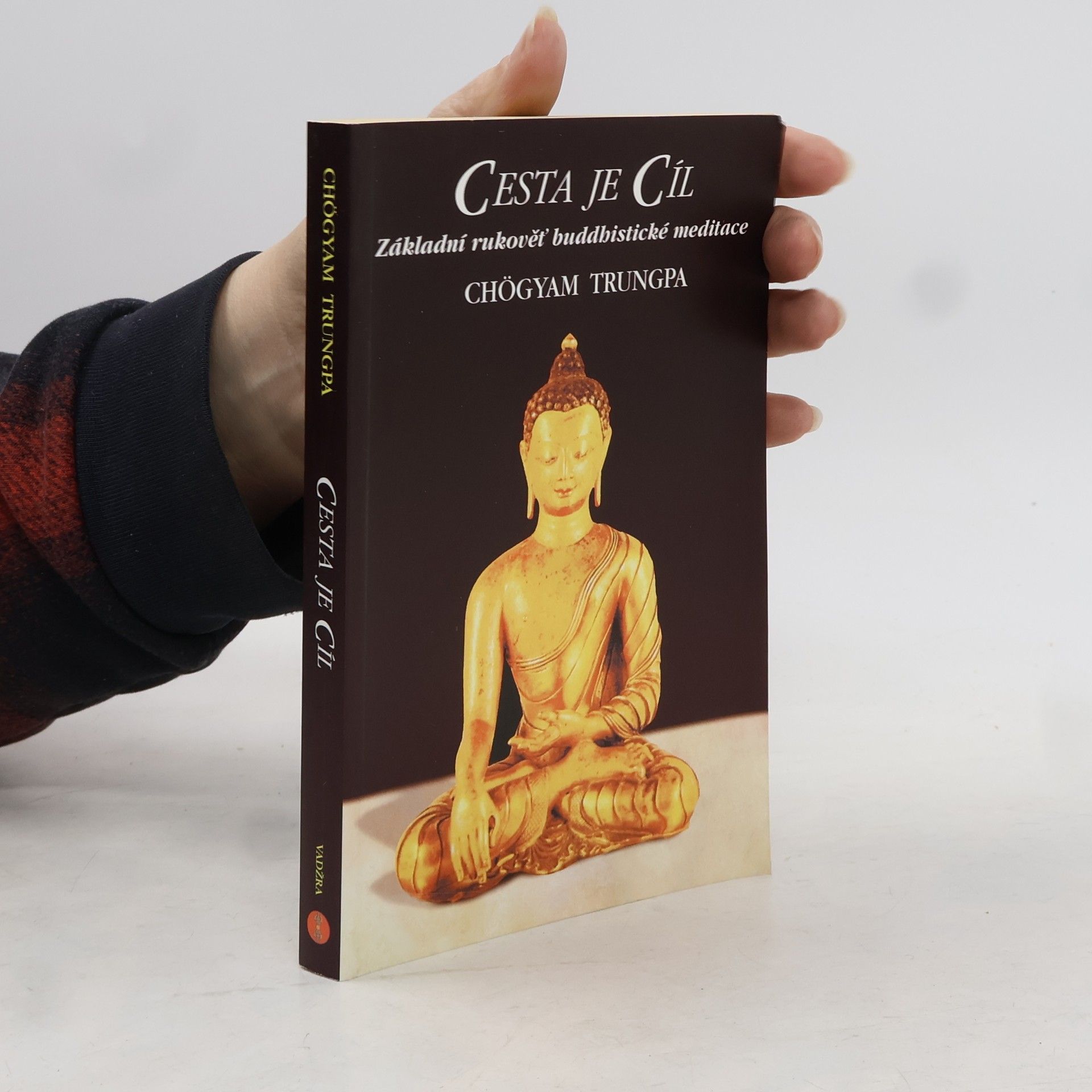 Čhögjam Trungpa Cesta je Cíl : základní rukověť buddhistické meditace
