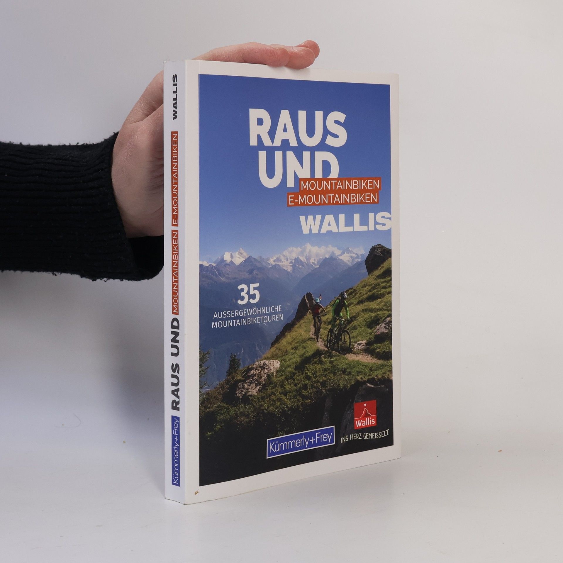 Kolektiv autorů Wallis Raus und Mountainbiken, E-Mountainbiken