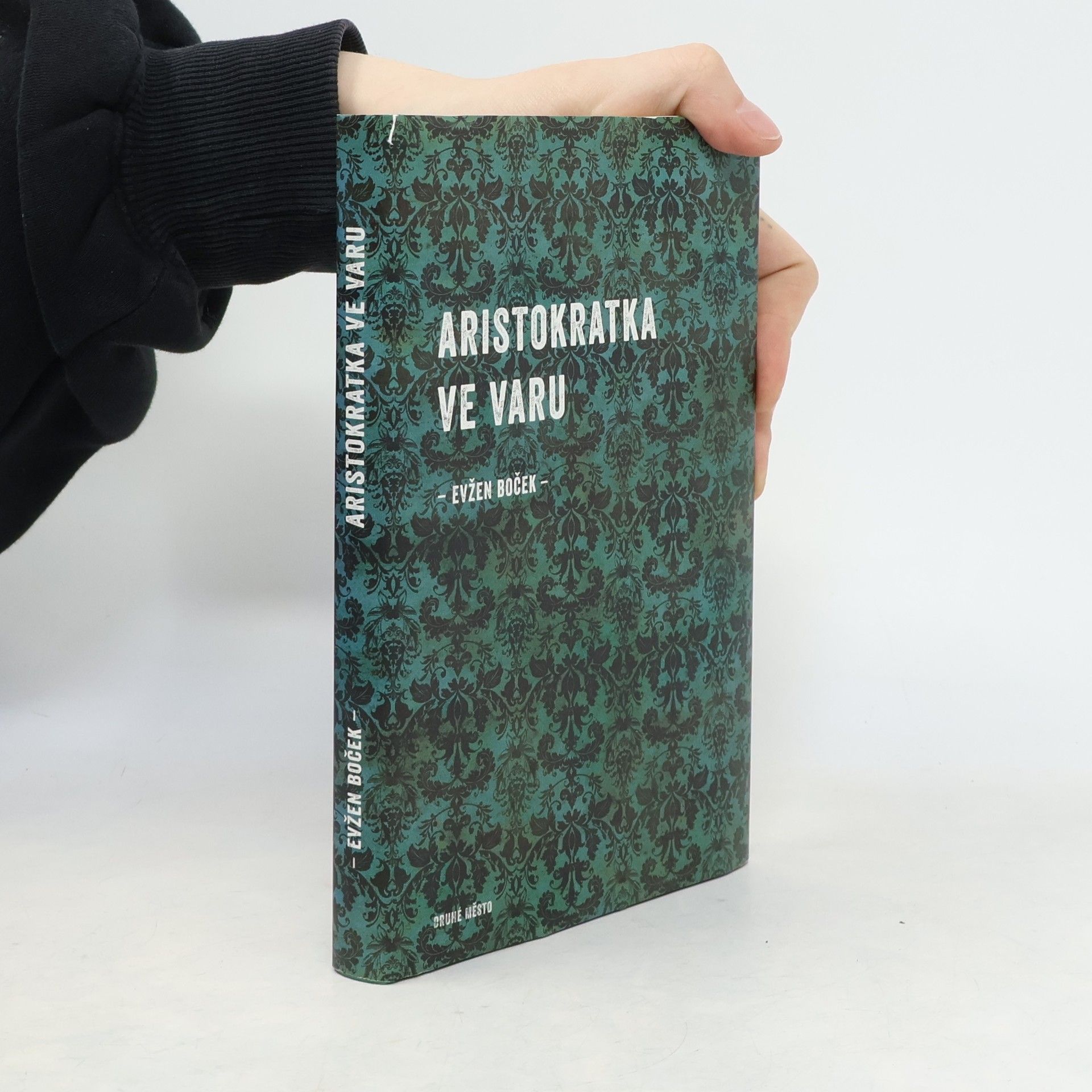 Evžen Boček Aristokratka ve varu