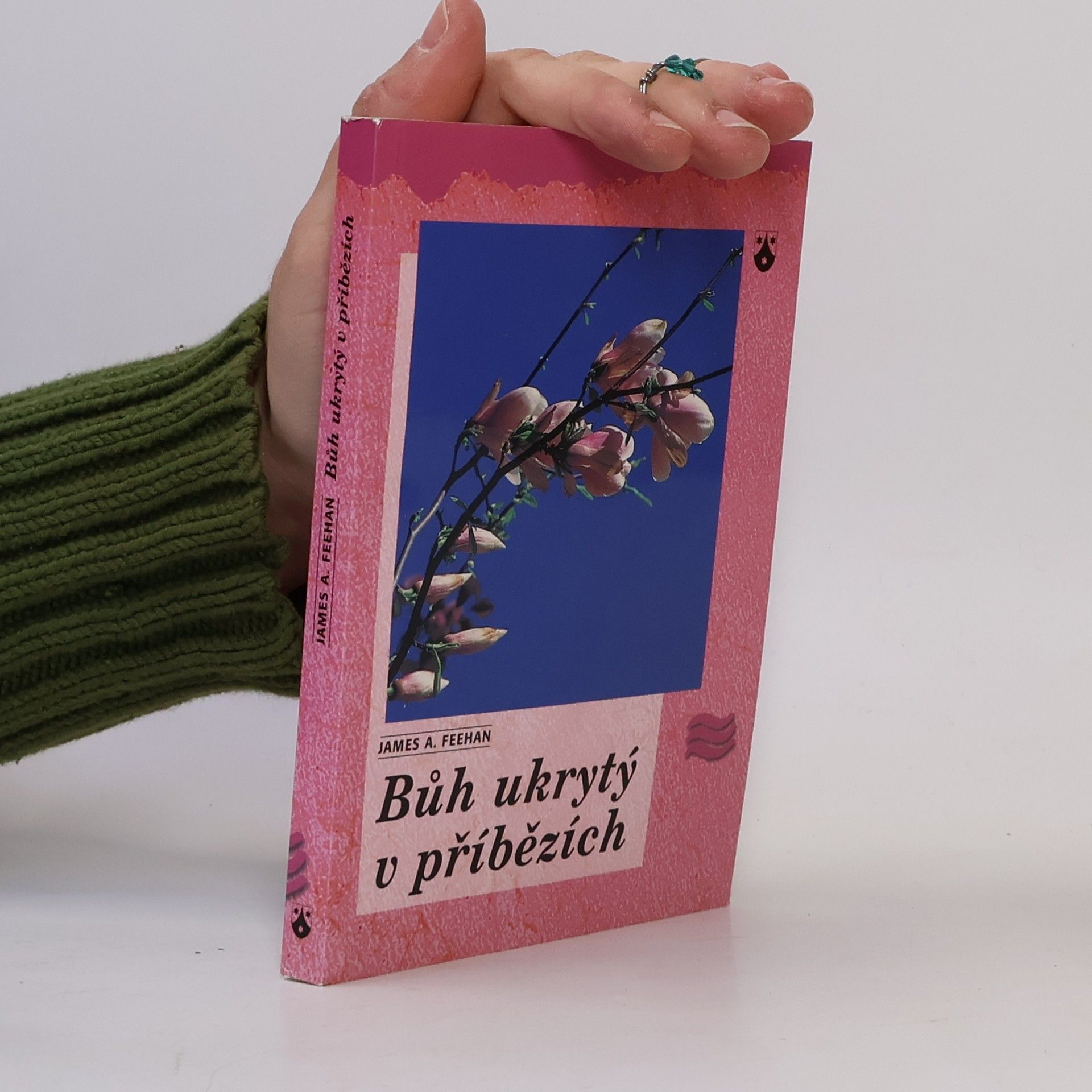 James A. Feehan Bůh ukrytý v příbězích