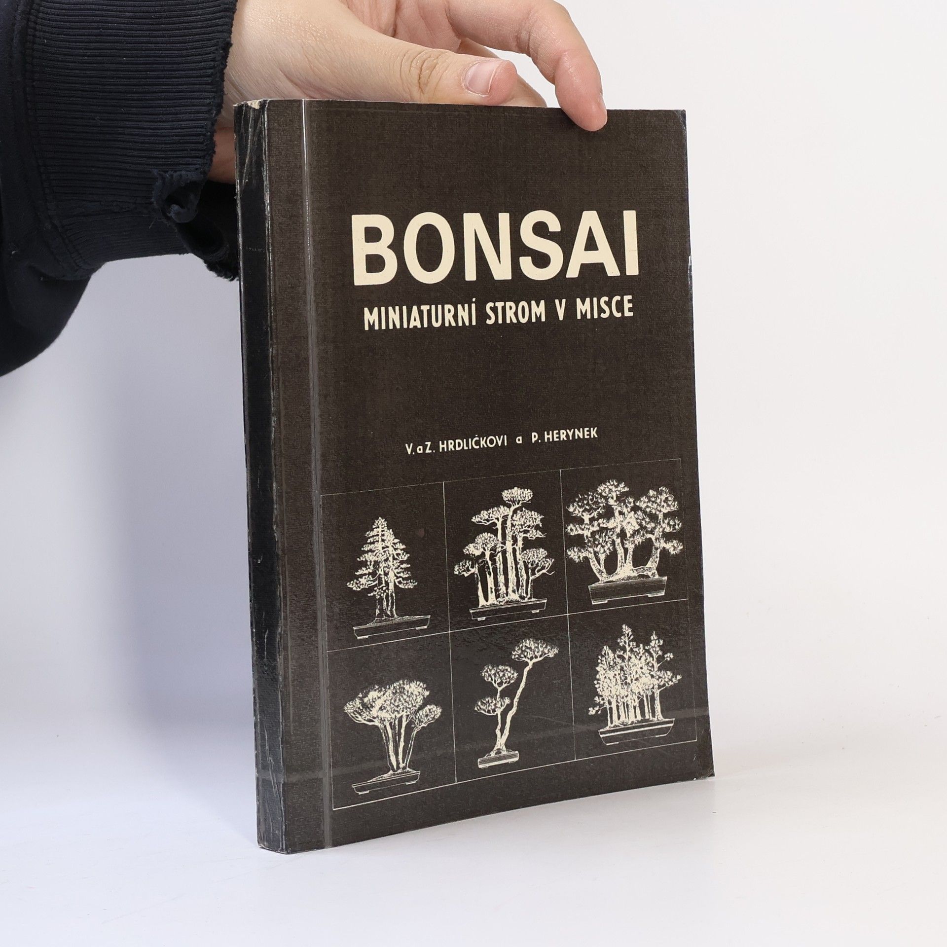 Zdeněk Hrdlička Bonsai. Miniaturní strom v misce