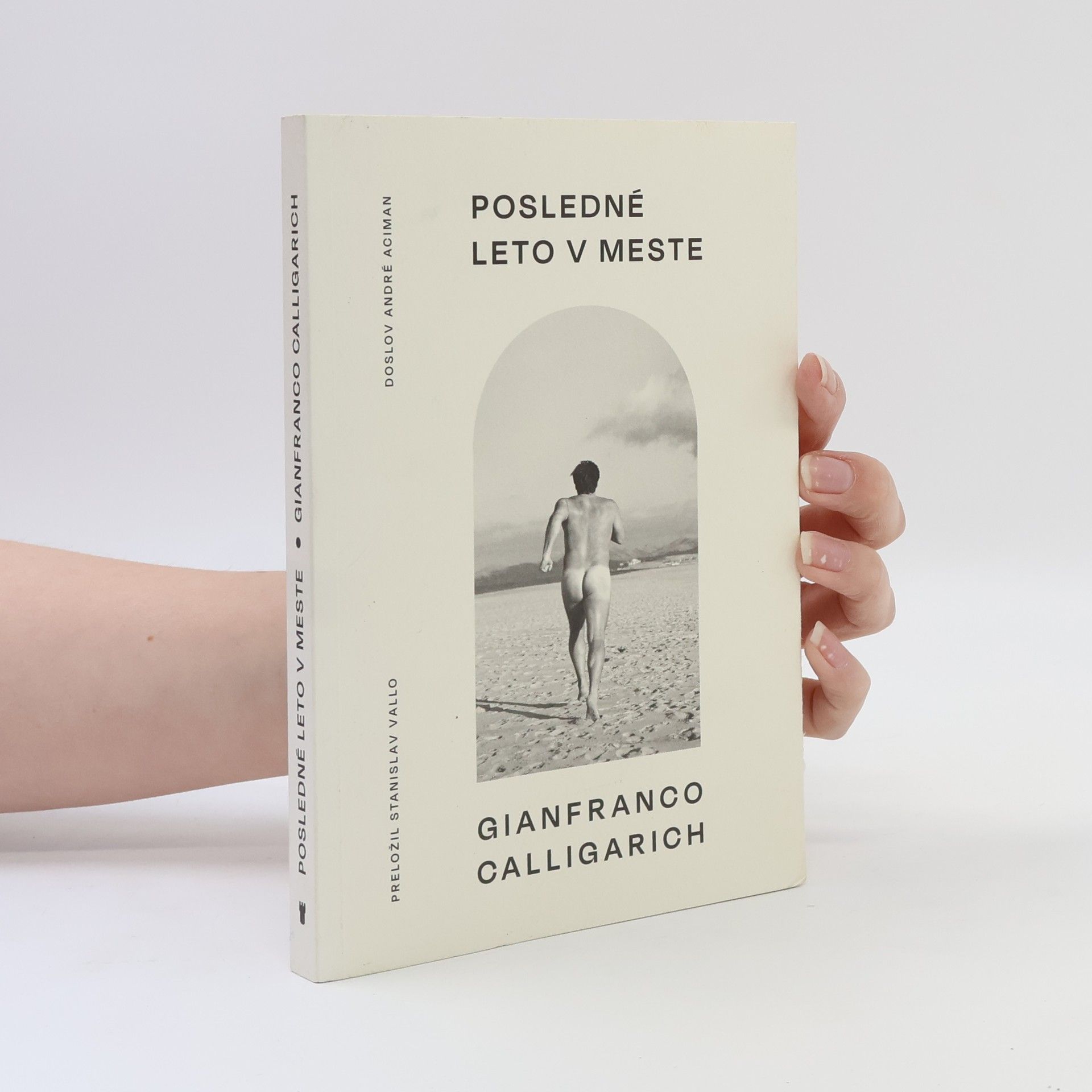 Gianfranco Calligarich Posledné leto v meste