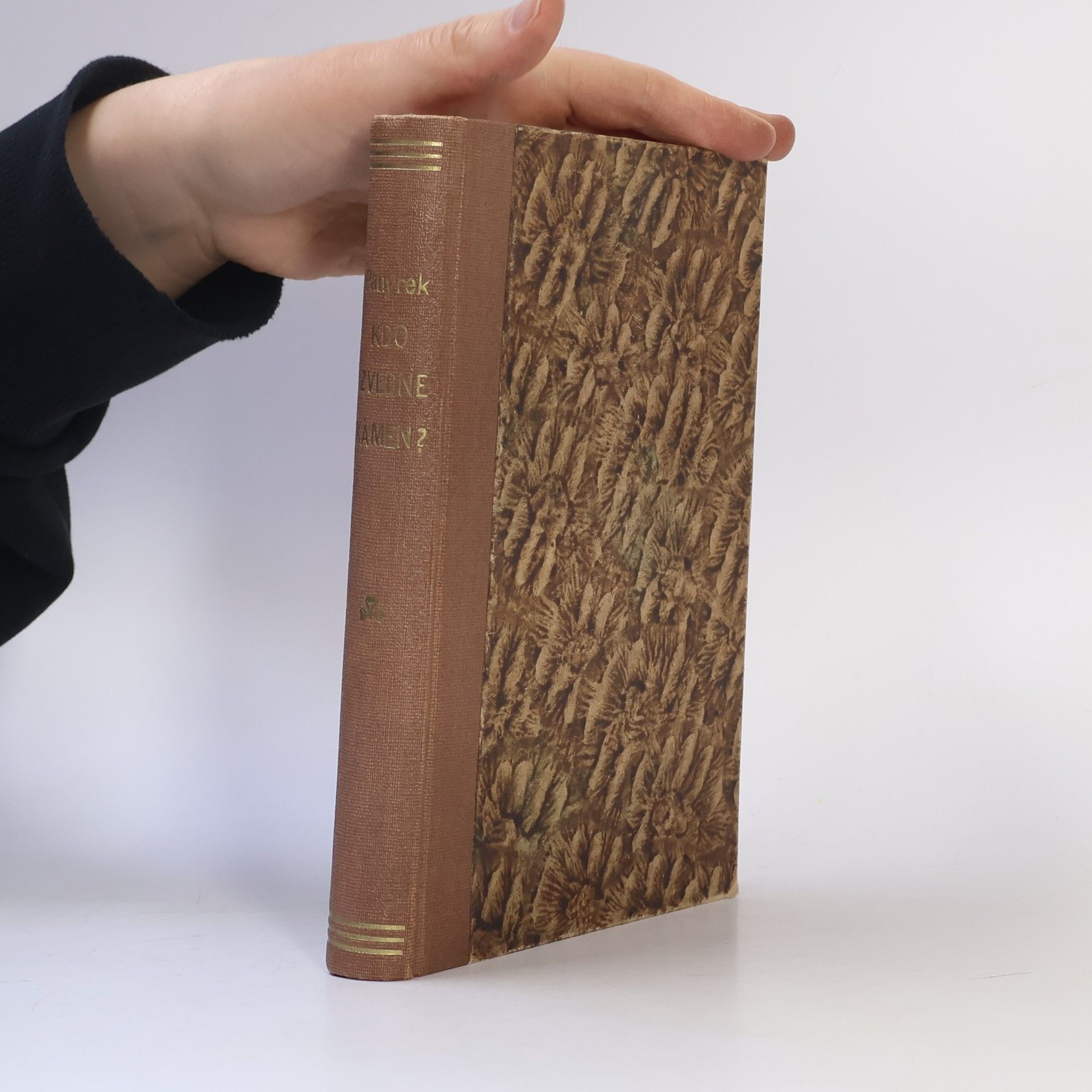 Duchoslav Panýrek Kdo zvedne kámen?