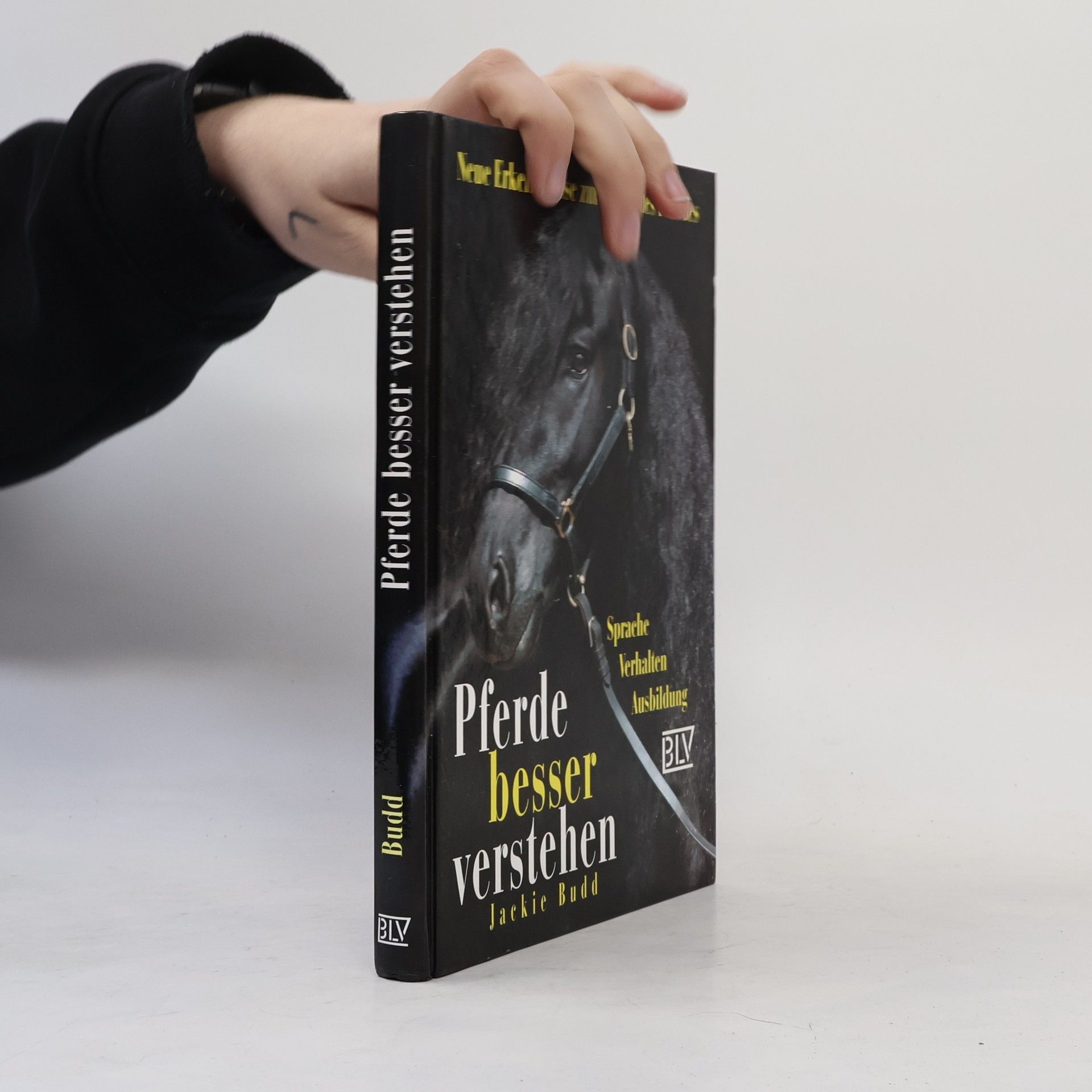 Jackie Budd Pferde besser verstehen