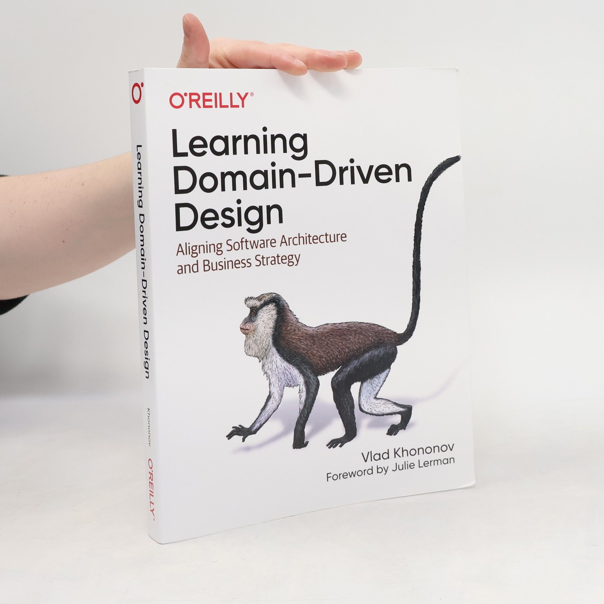 Julie Lerman Learning Domain-Driven Design