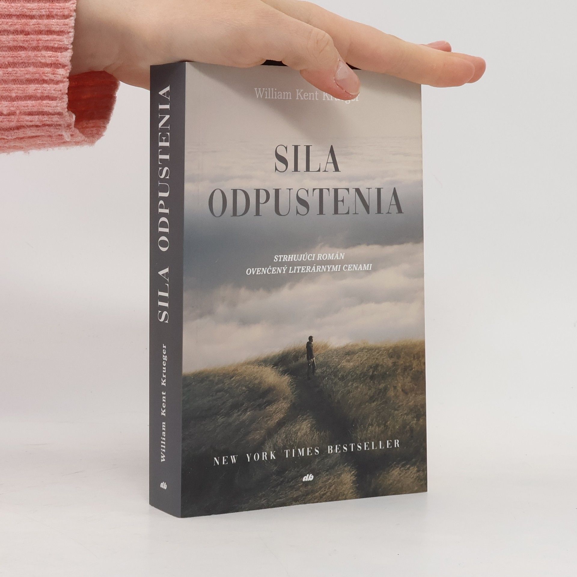 William Kent Krueger Sila odpustenia