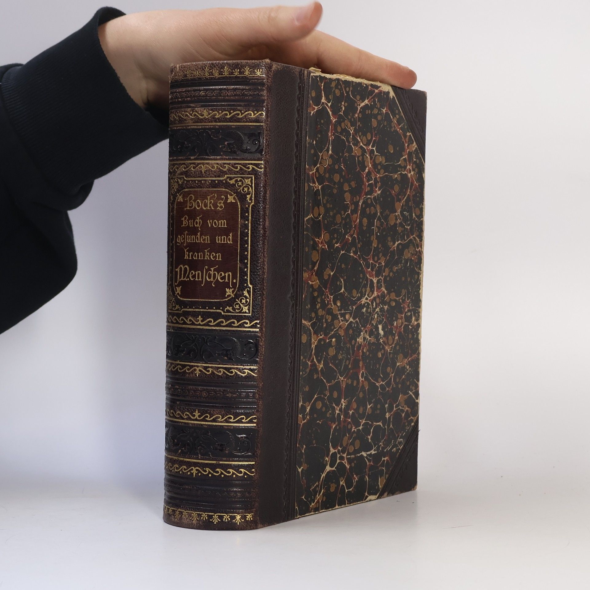 Das Buch von der gesunden und praktischen Wohnung