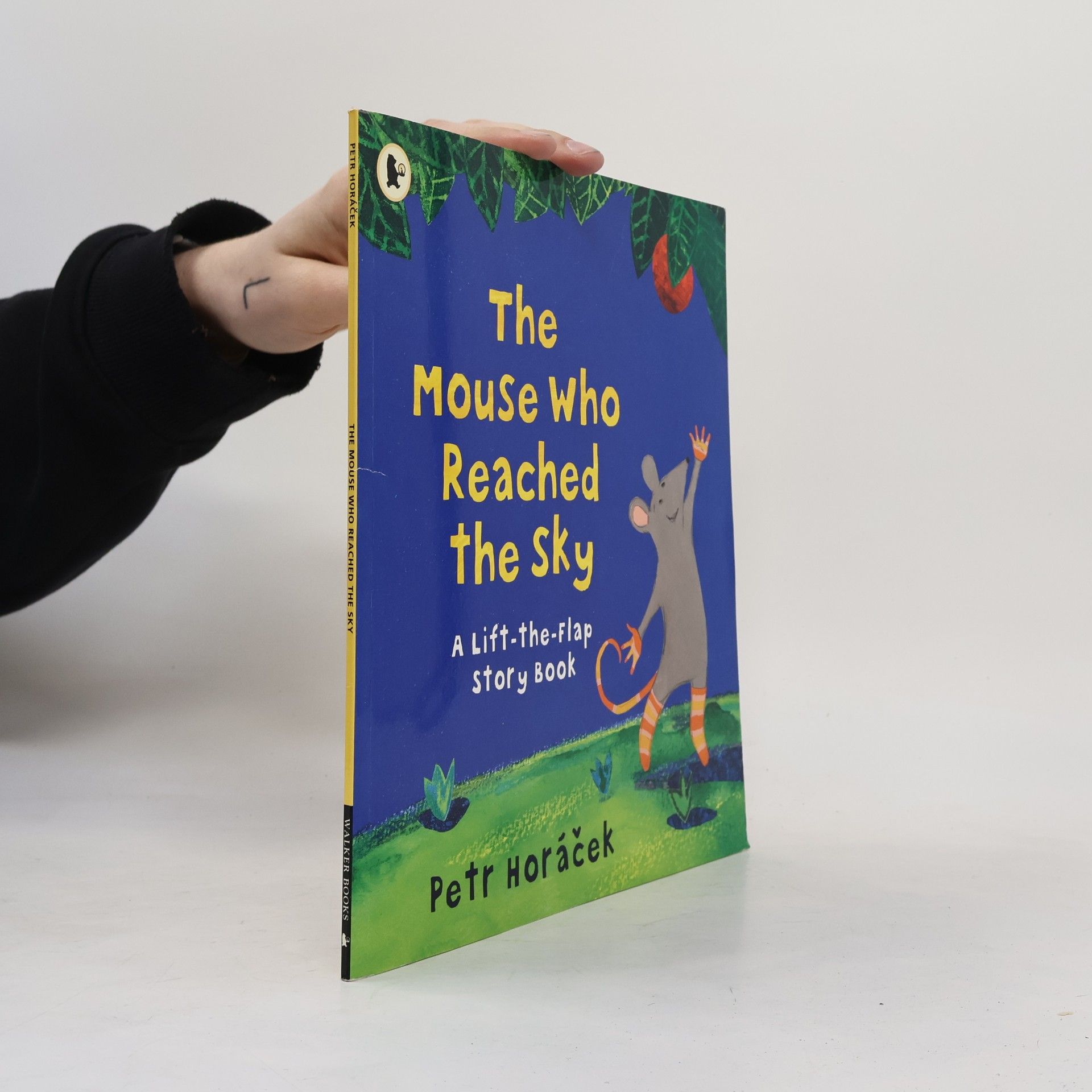 Petr Horácek The Mouse Who Reached the Sky