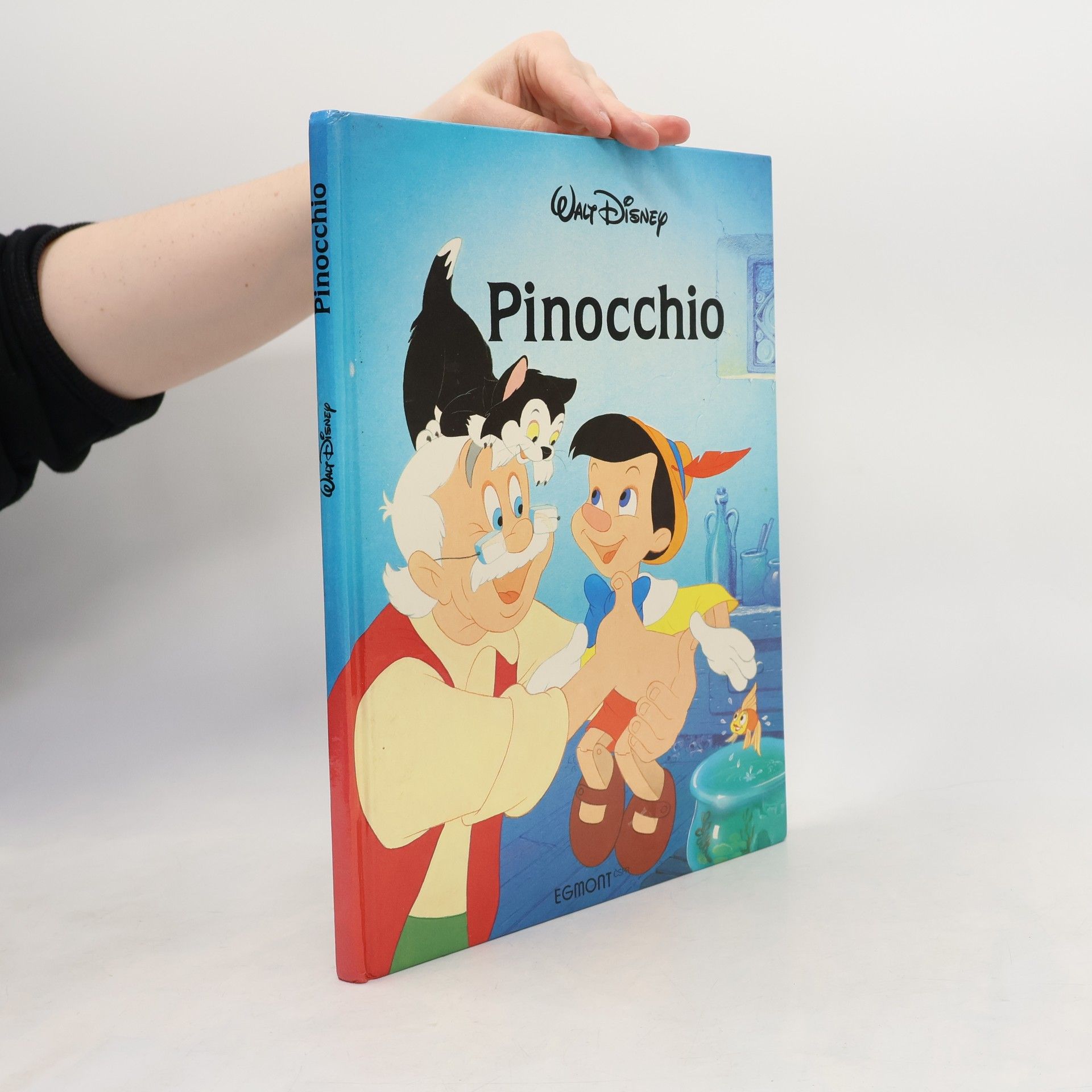 Autorenkollektiv Pinocchio