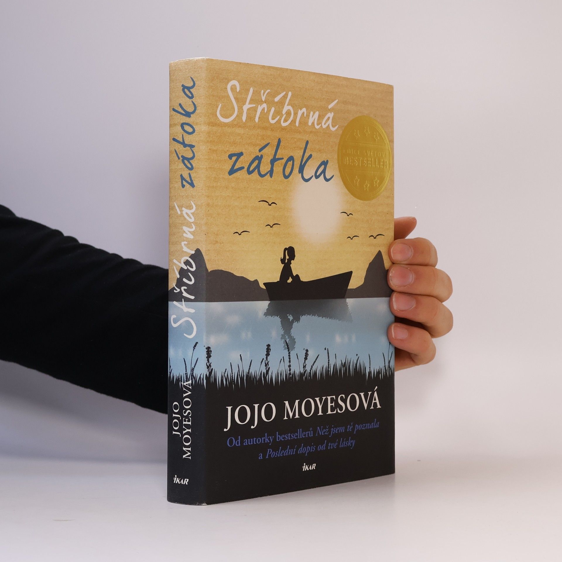 Jojo Moyes Stříbrná zátoka