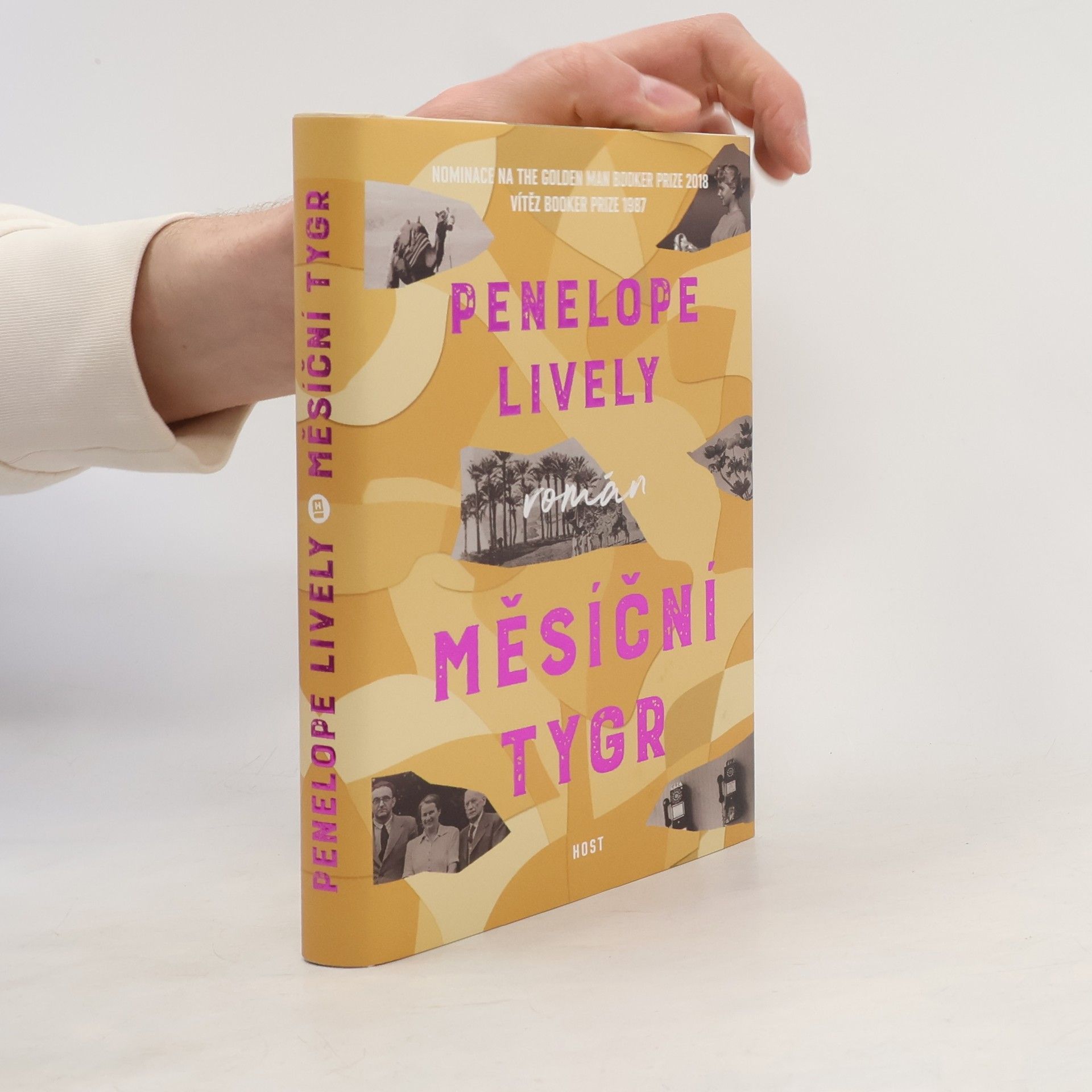 Penelope Lively Měsíční tygr