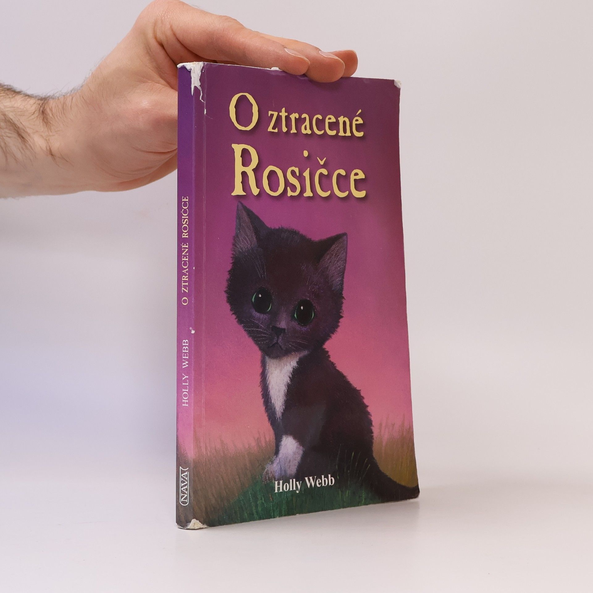 Holly Webbová O ztracené Rosičce