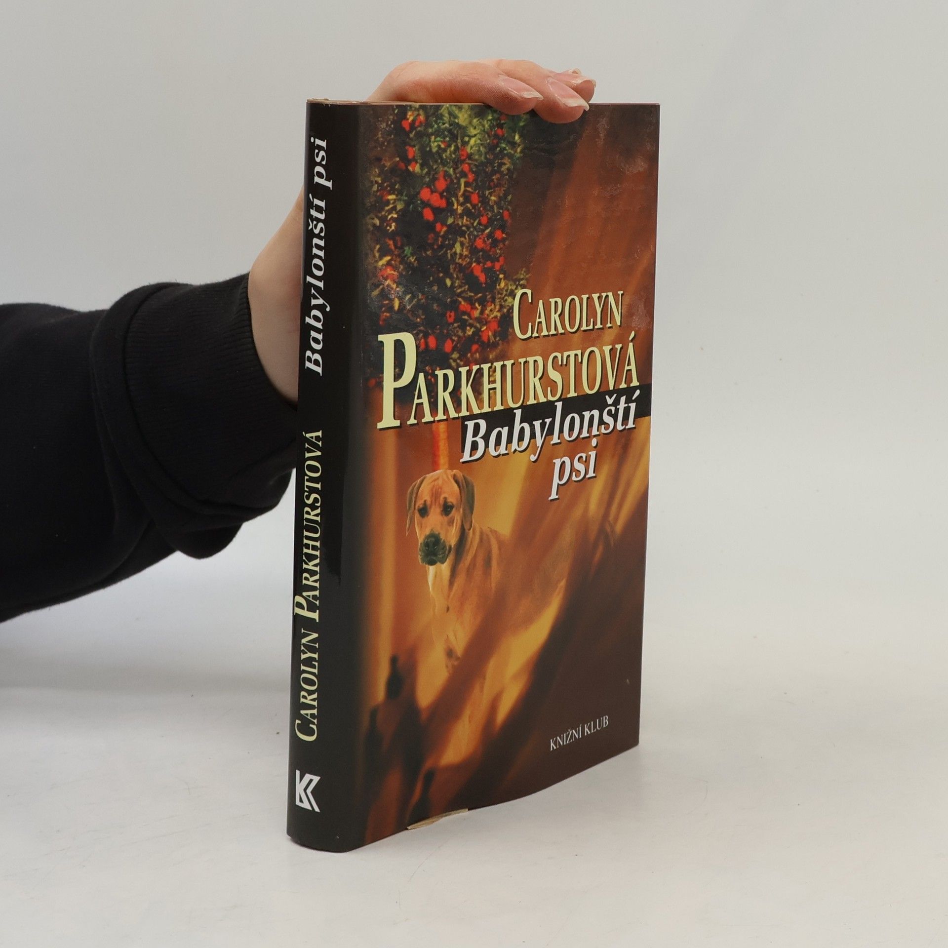 Carolyn Parkhurst Babylonští psi