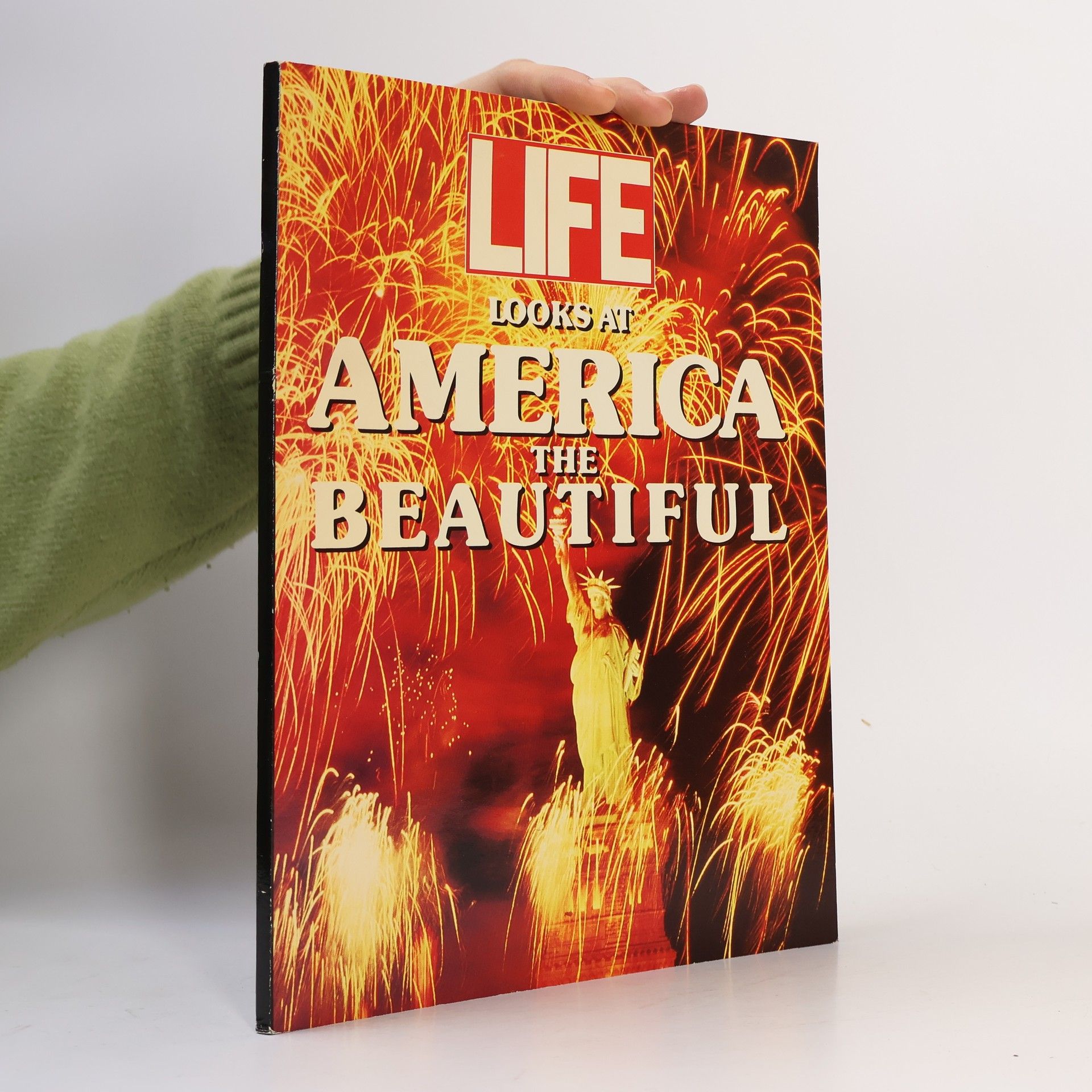 Kolektív autorov Looks at America the Beautiful