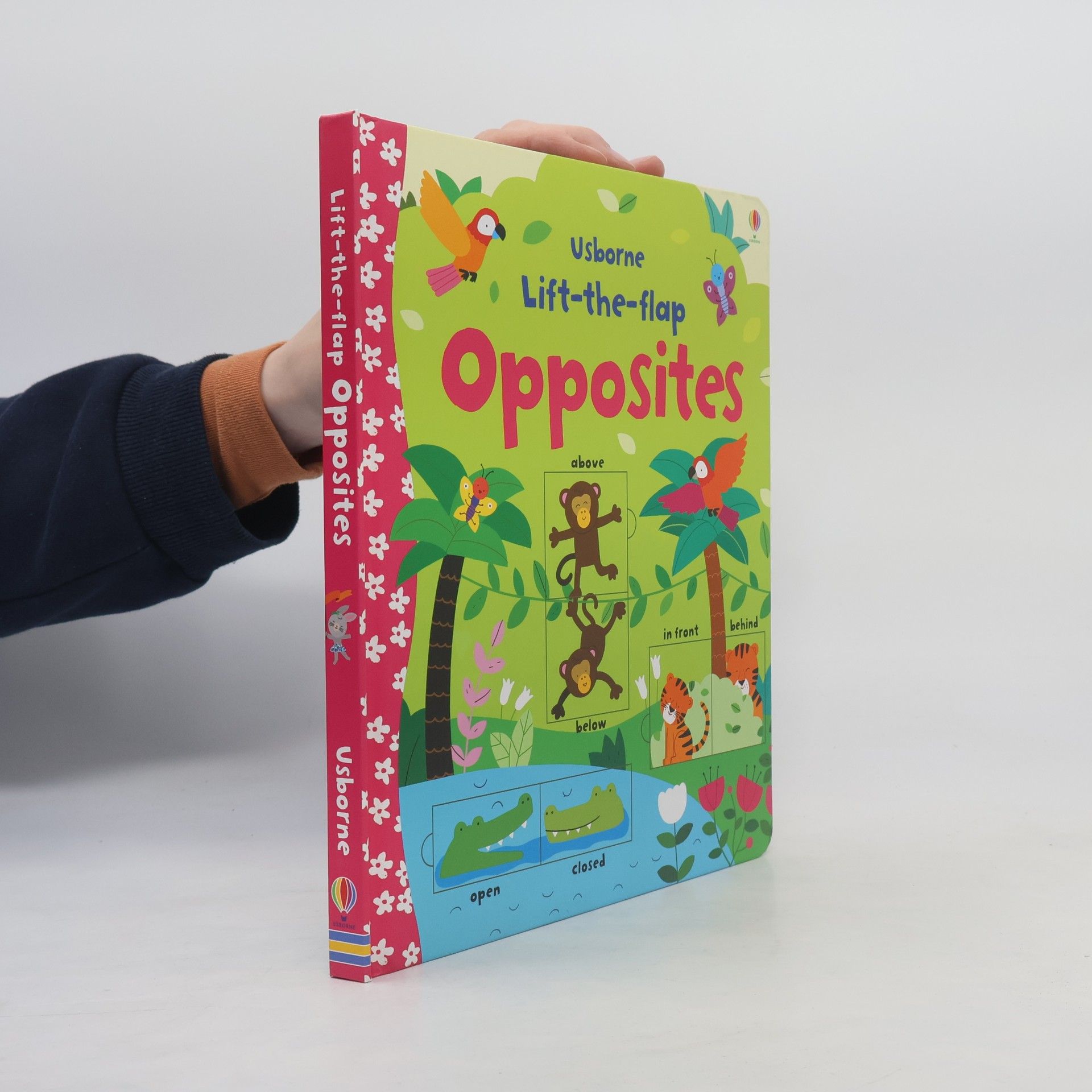 Felicity Brooks Opposites