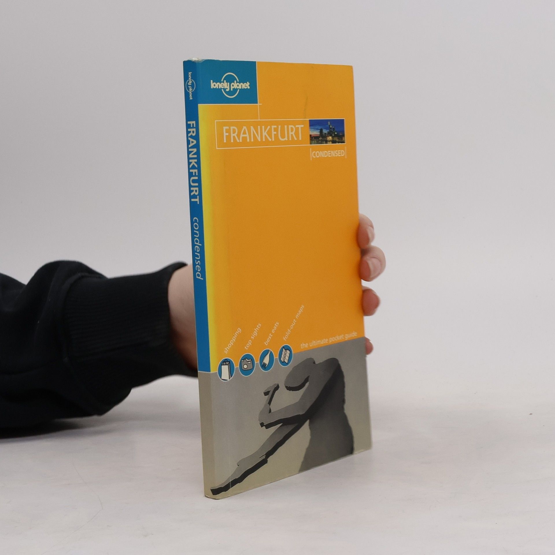 Angela Cullen Lonely Planet: Frankfurt Condensed