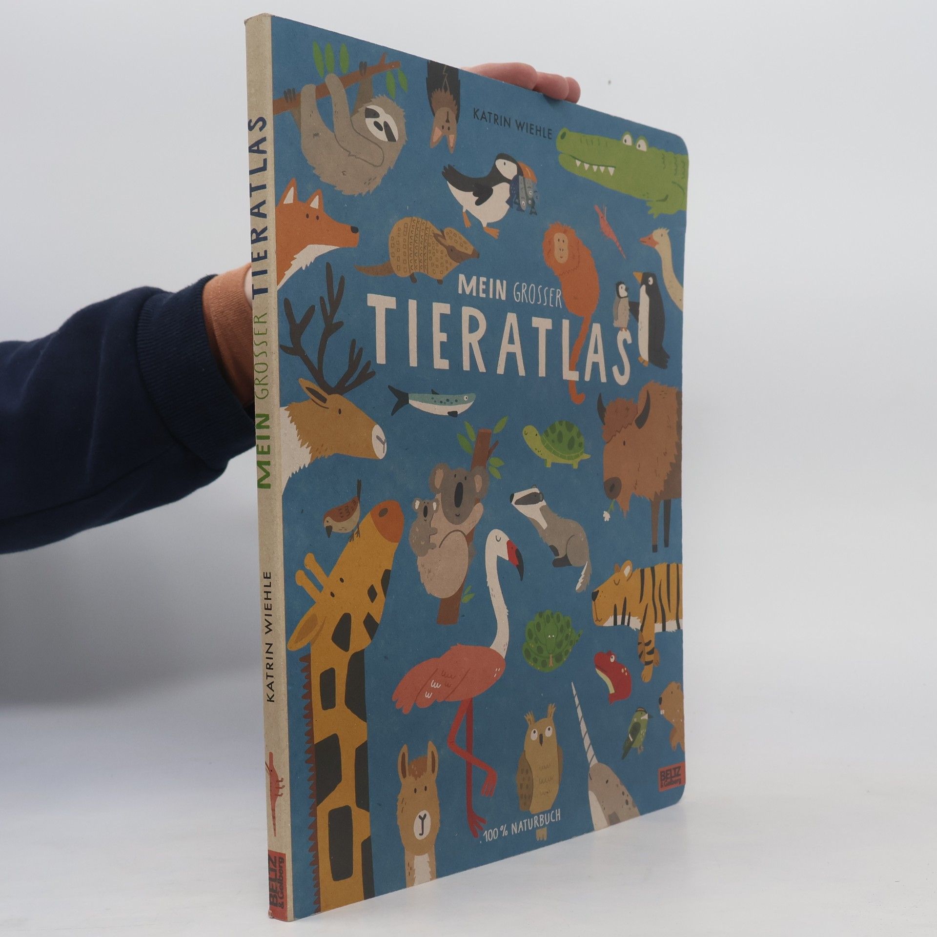 Katrin Wiehle Mein großer Tieratlas
