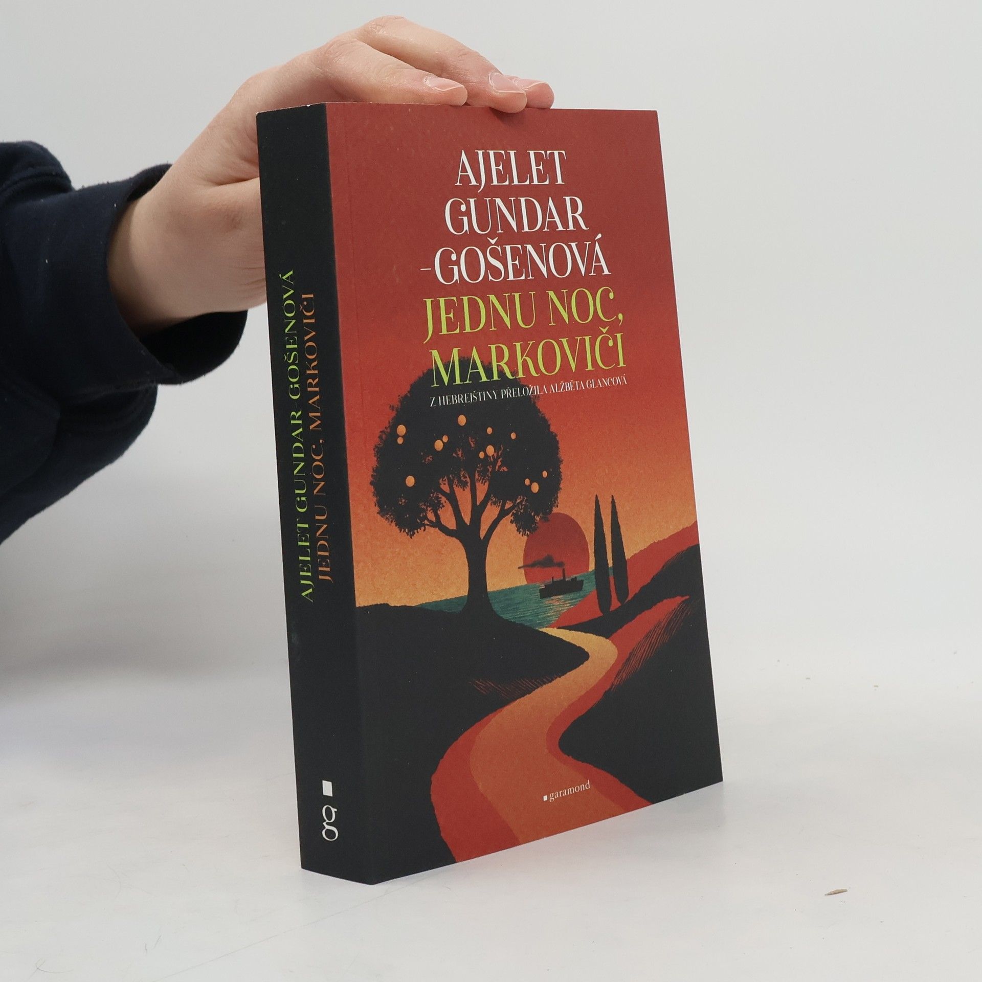 Ayelet Gundar-Goshen Jednu noc, Markoviči