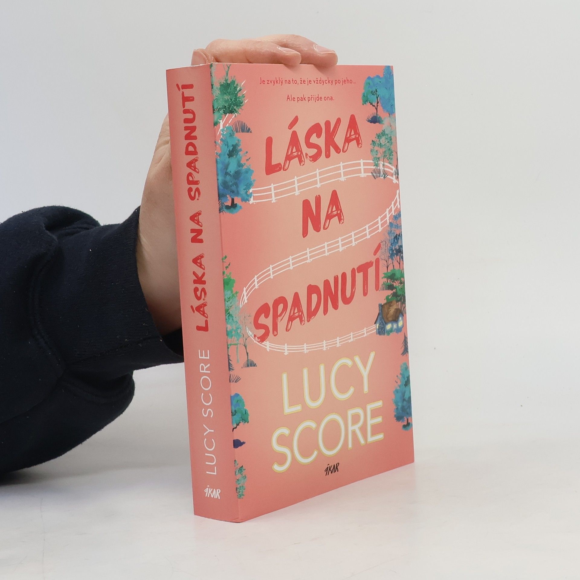 Lucy Score Láska na spadnutí