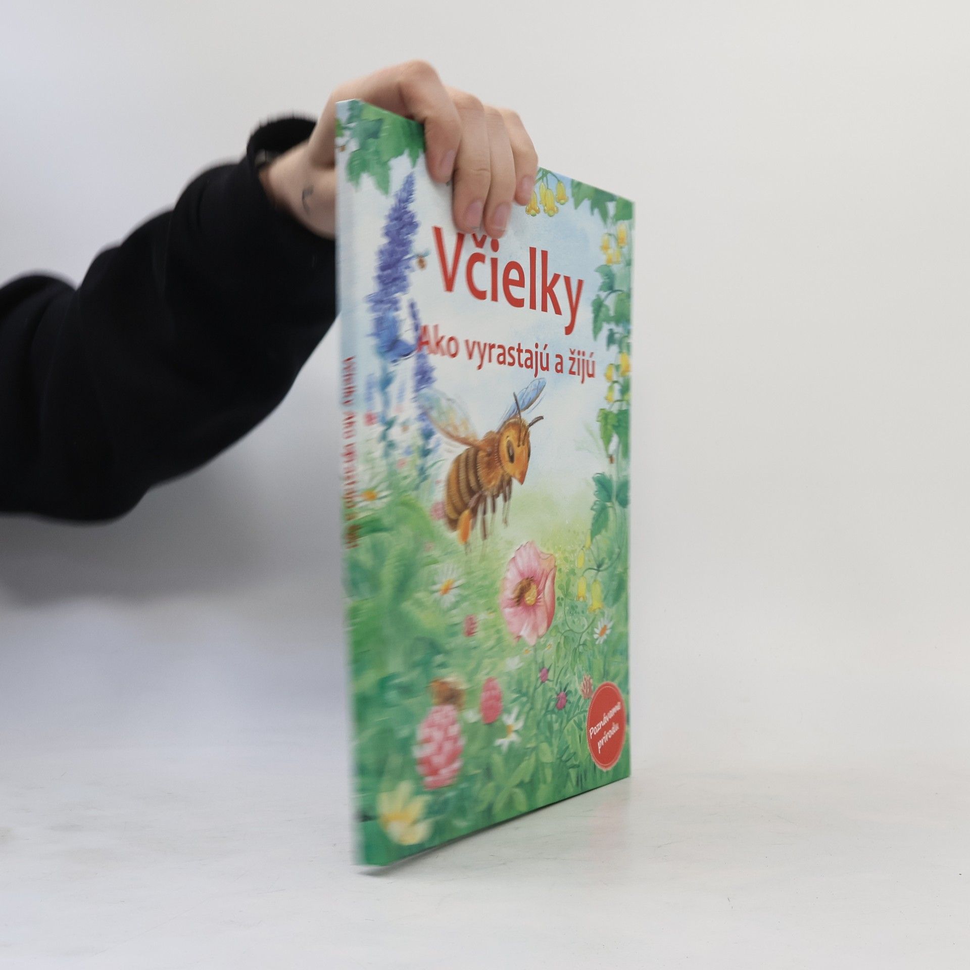 Friederun Reichenstetter Včielky