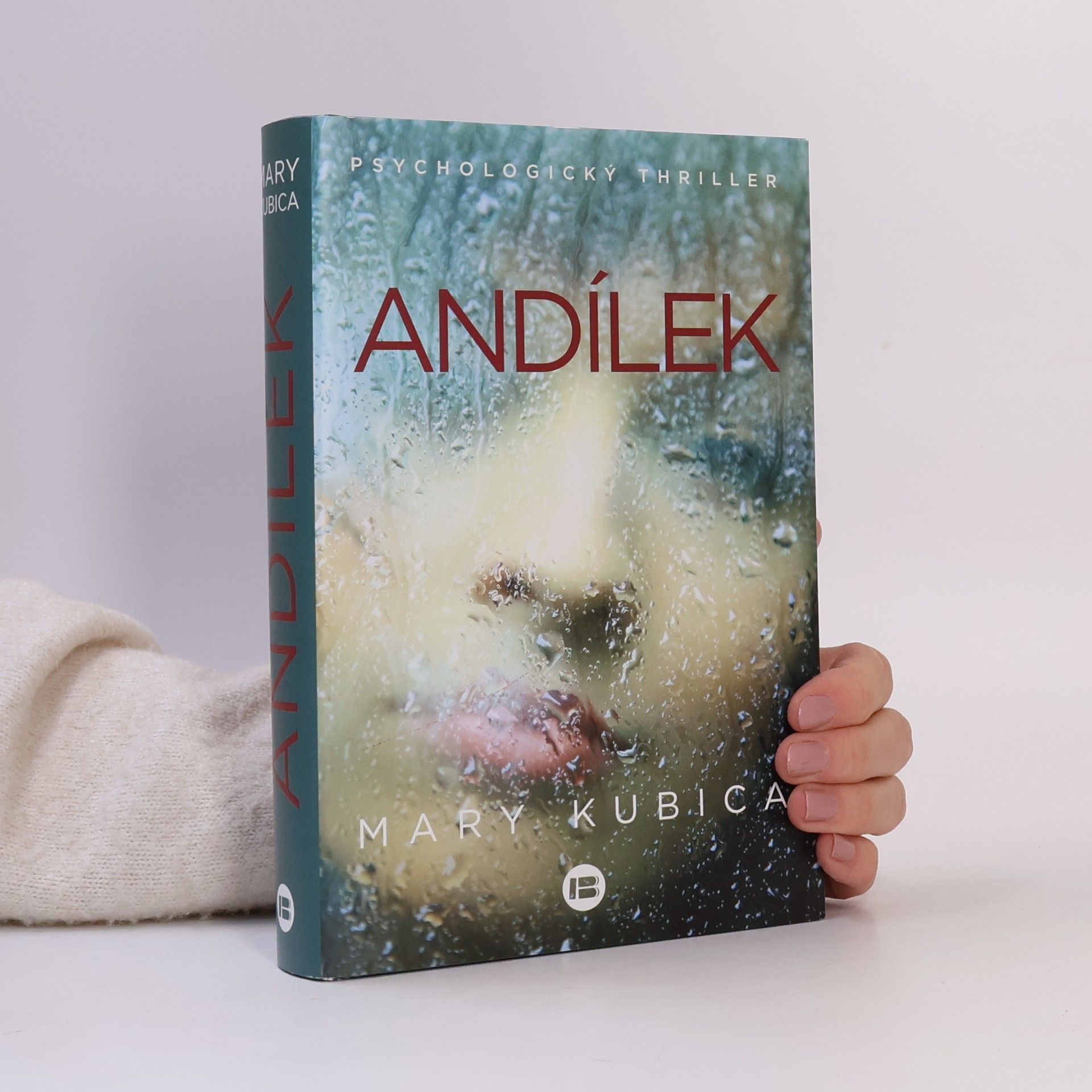 Mary Kubica Andílek