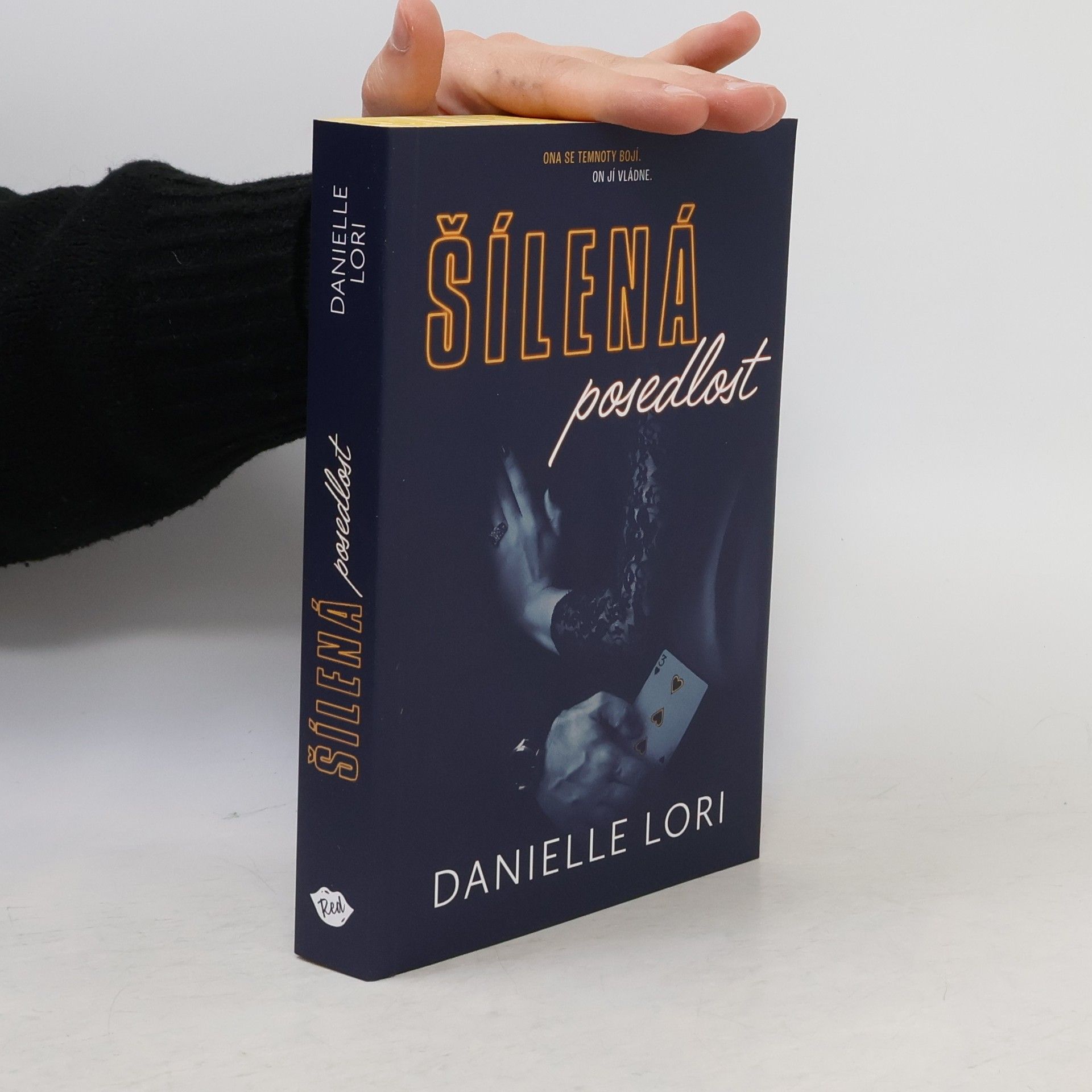 Danielle Lori Šílená posedlost