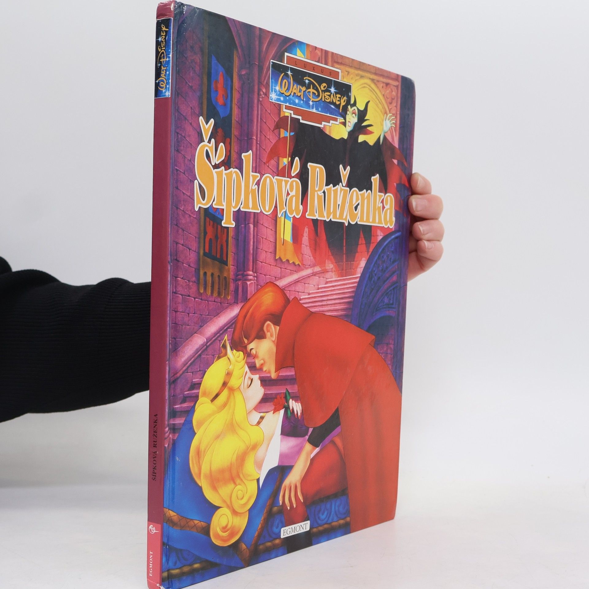 Tomáš Bičan Šípková Ruženka