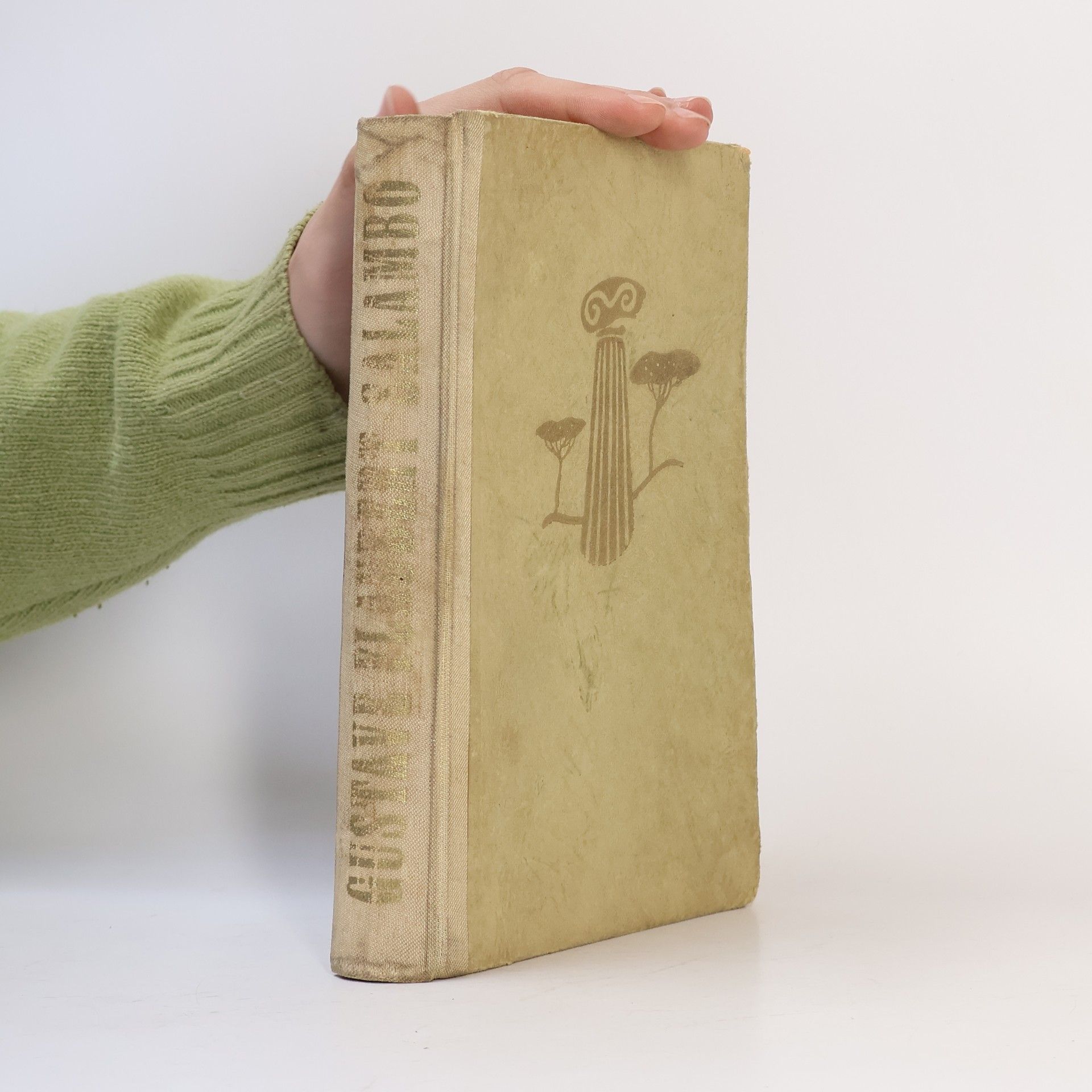 Gustave Flaubert Salambo