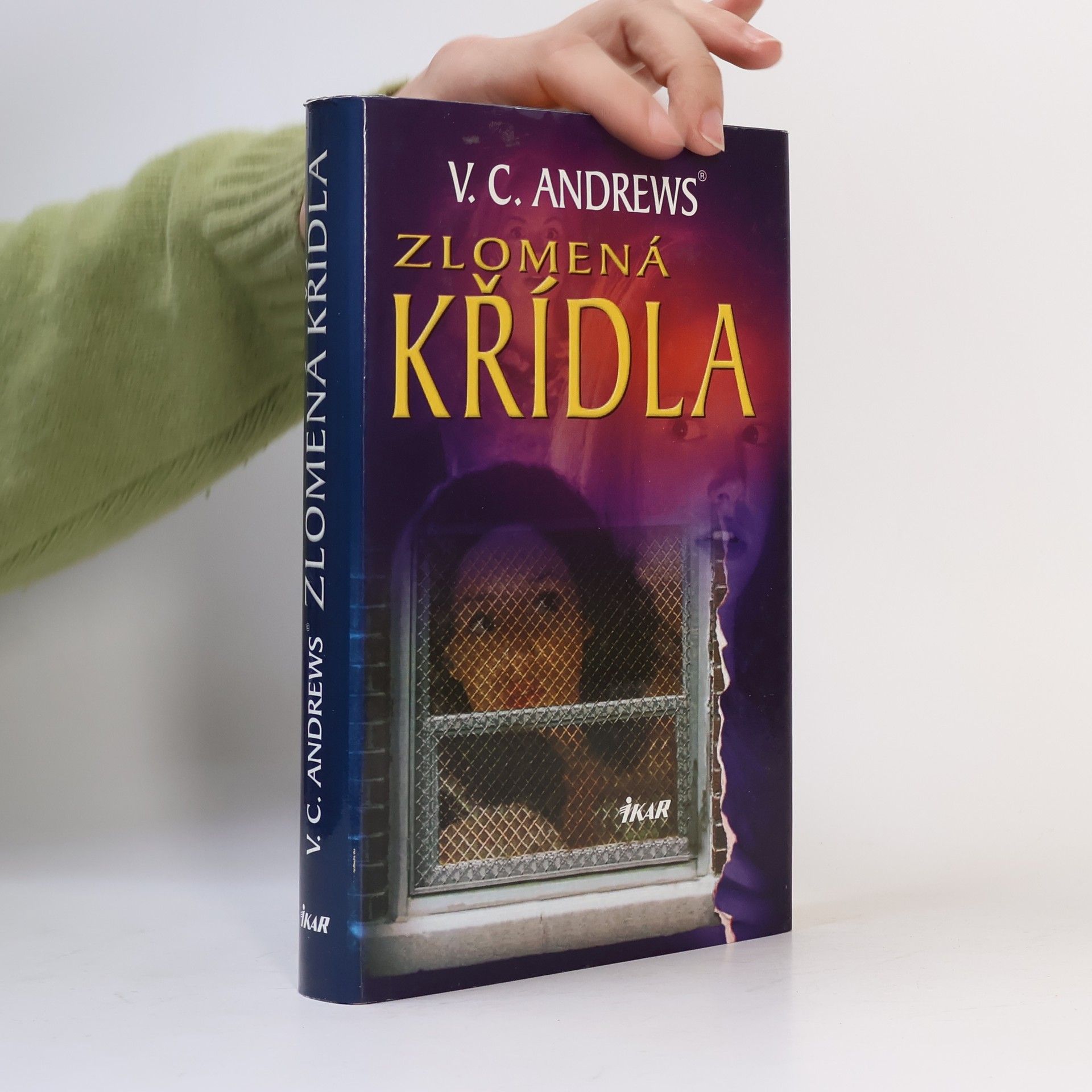 V. C. Andrews Zlomená křídla
