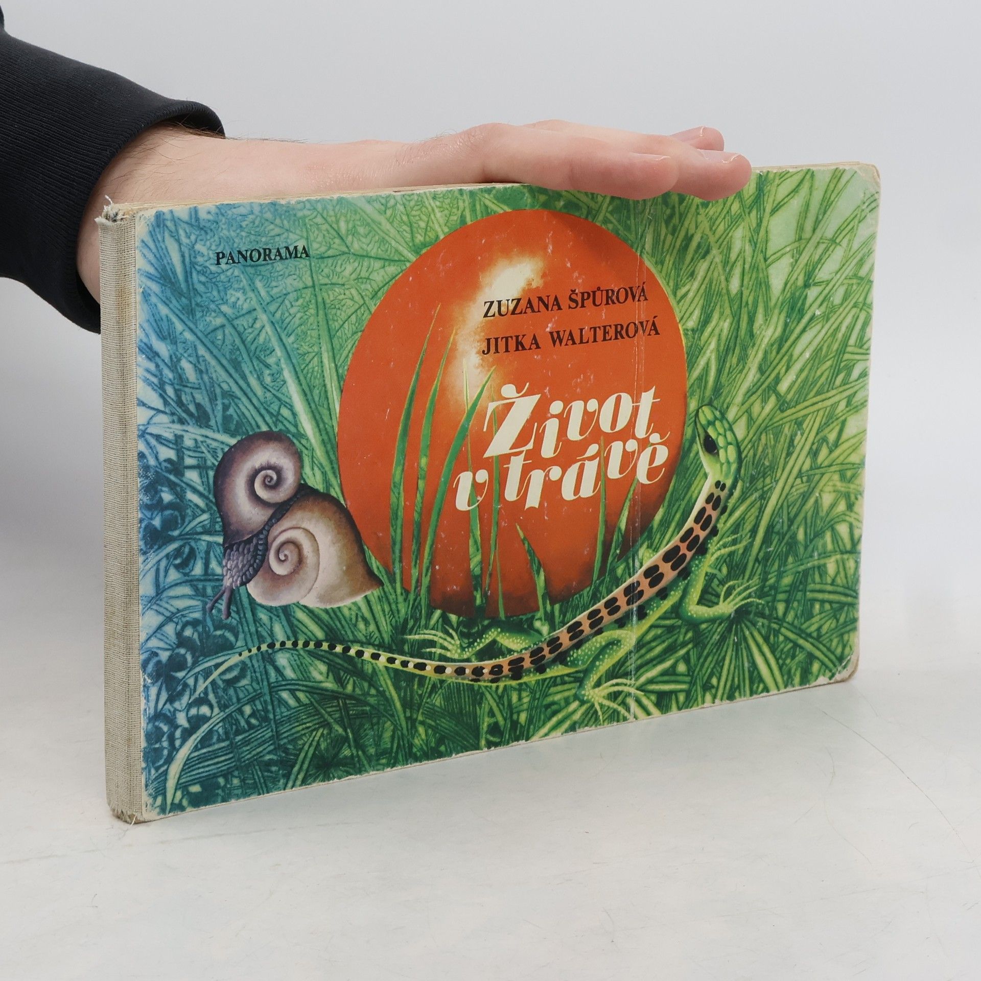 Various authors Život v trávě