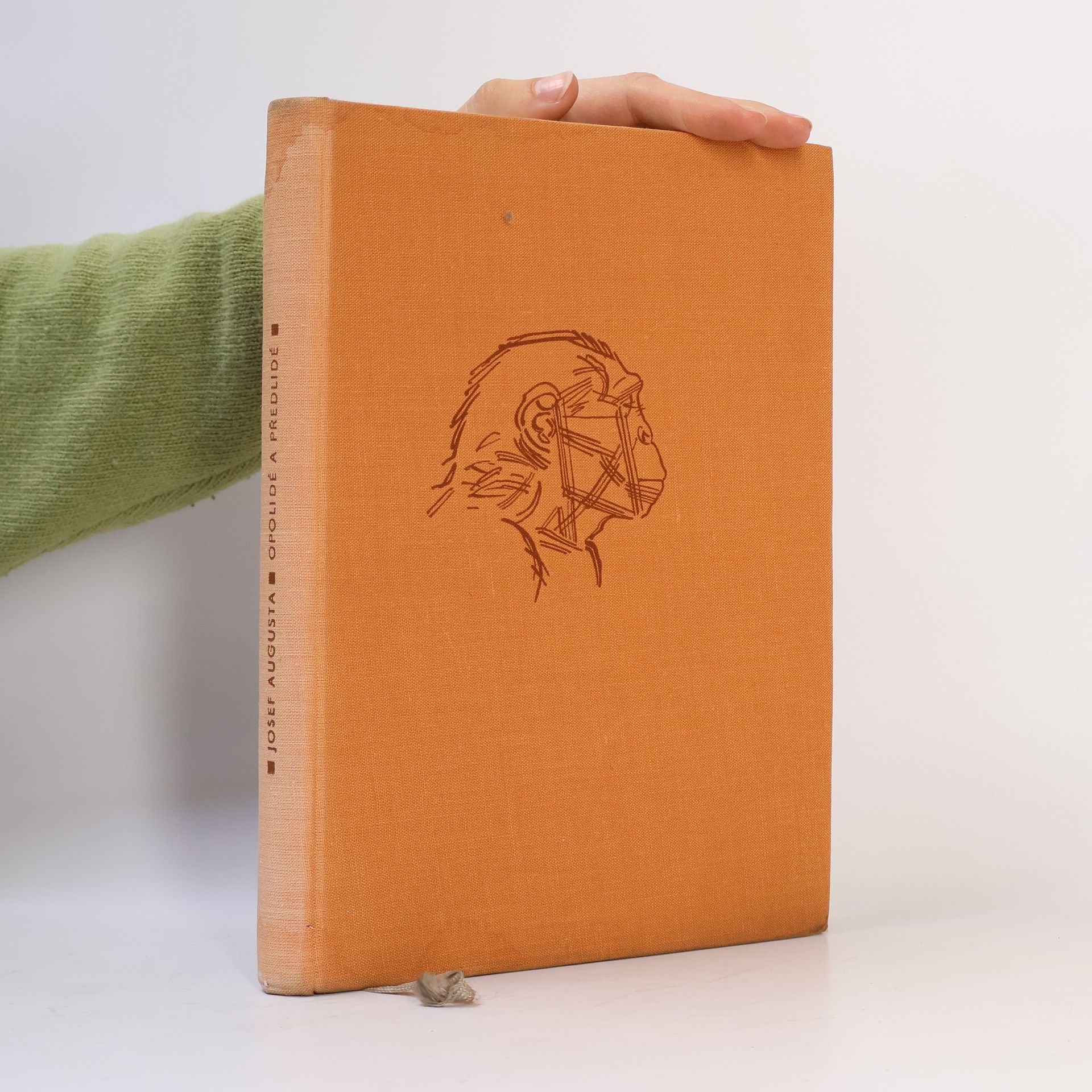 Josef Augusta Opolidé a předlidé