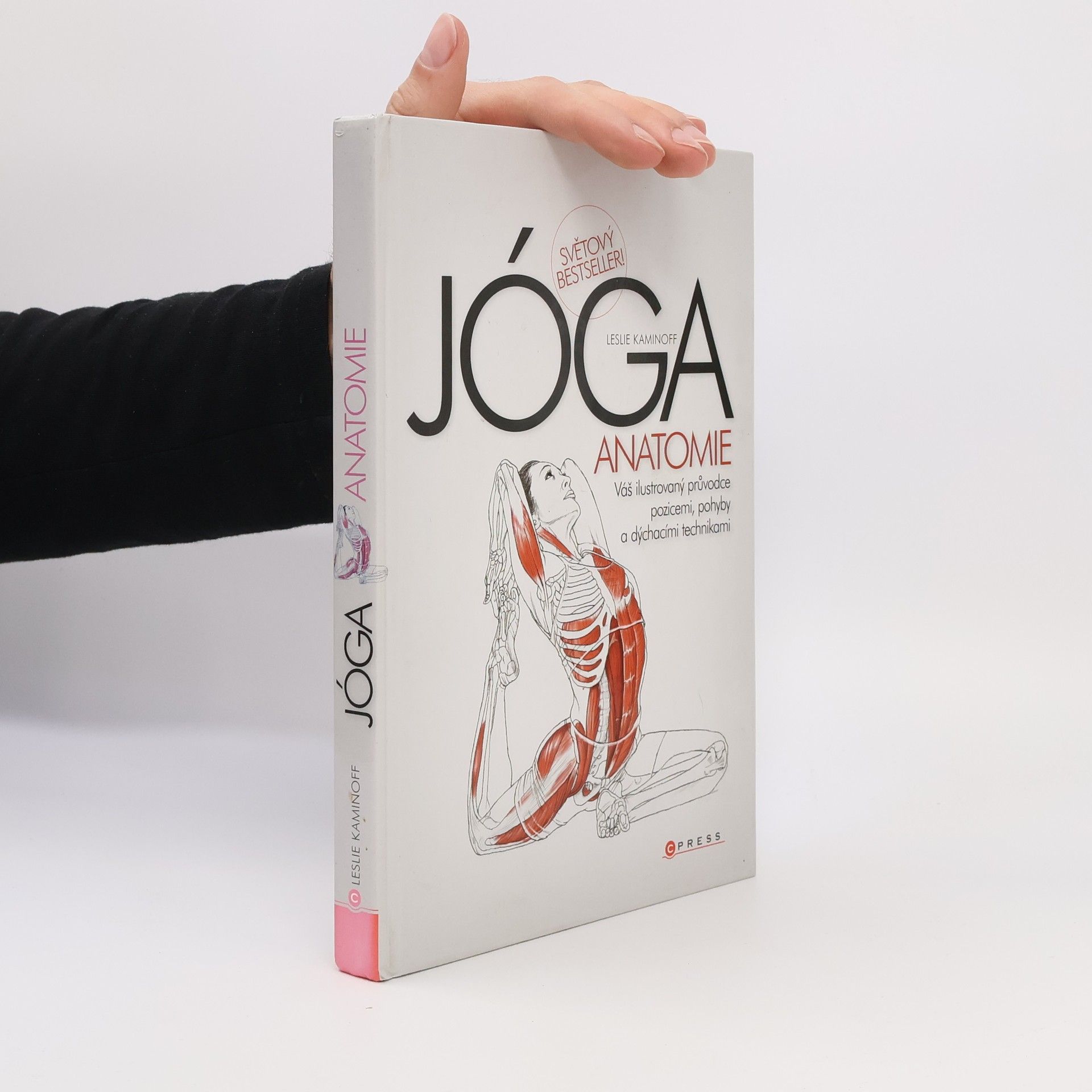 Leslie Kaminoff Jóga - anatomie