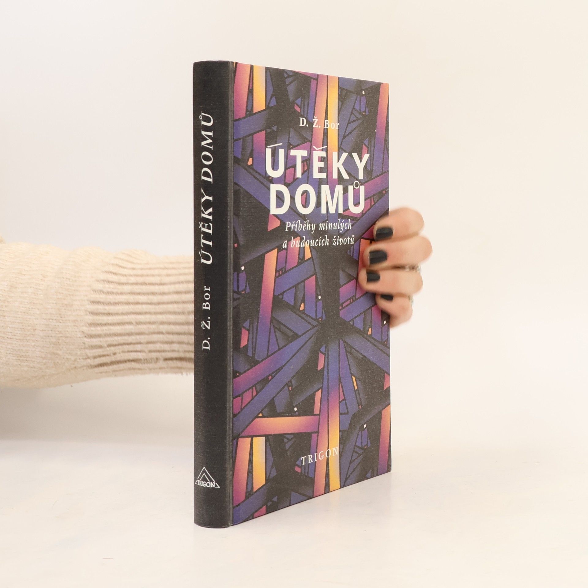 D. Ž. Bor Útěky domů