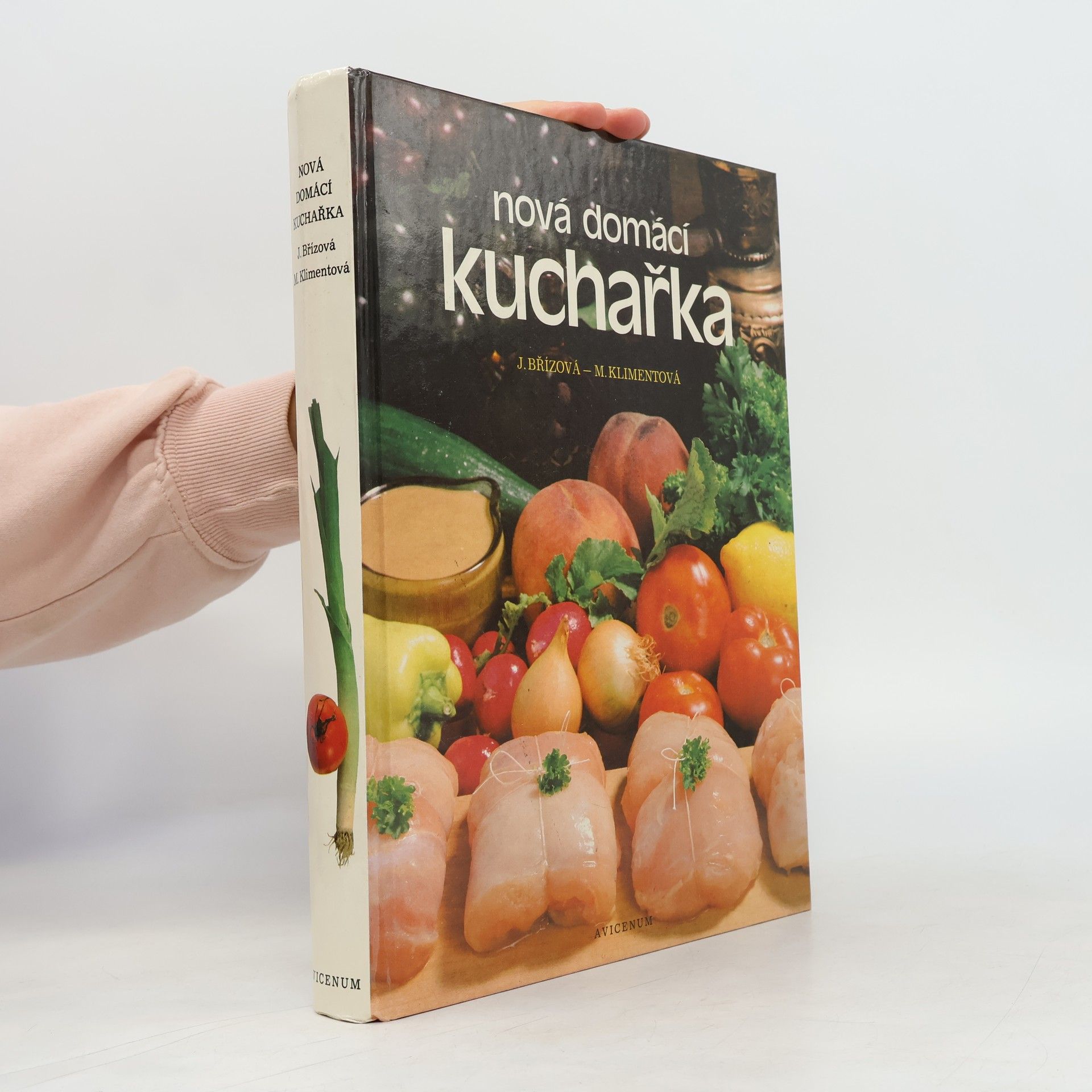Joza Břízová Nová domácí kuchařka