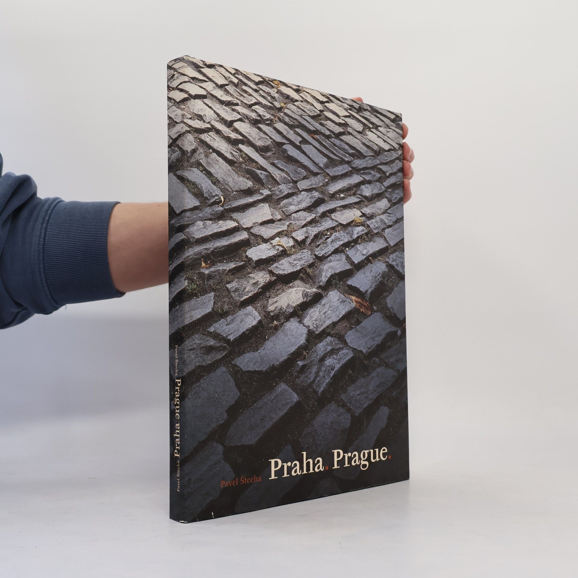 Pavel Štecha Praha / Prague