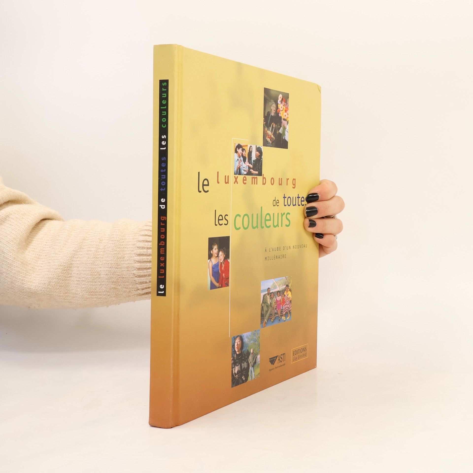 Autorenkollektiv Le luxembourg de toutes les couleurs