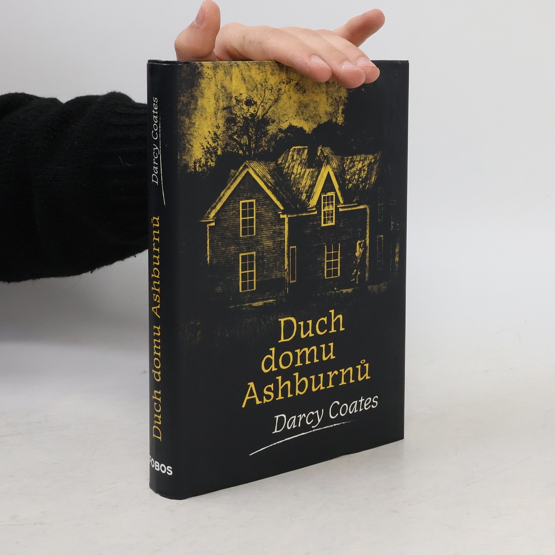 Darcy Coates Duch domu Ashburnů