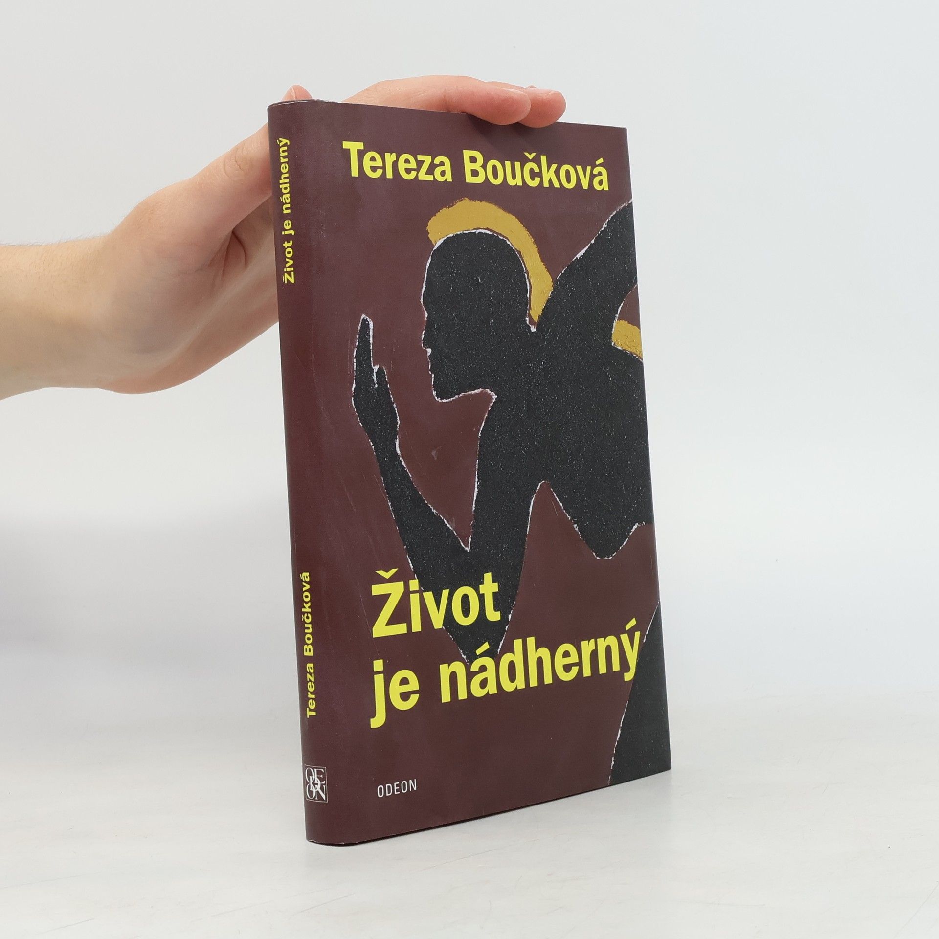 Tereza Boučková Život je nádherný