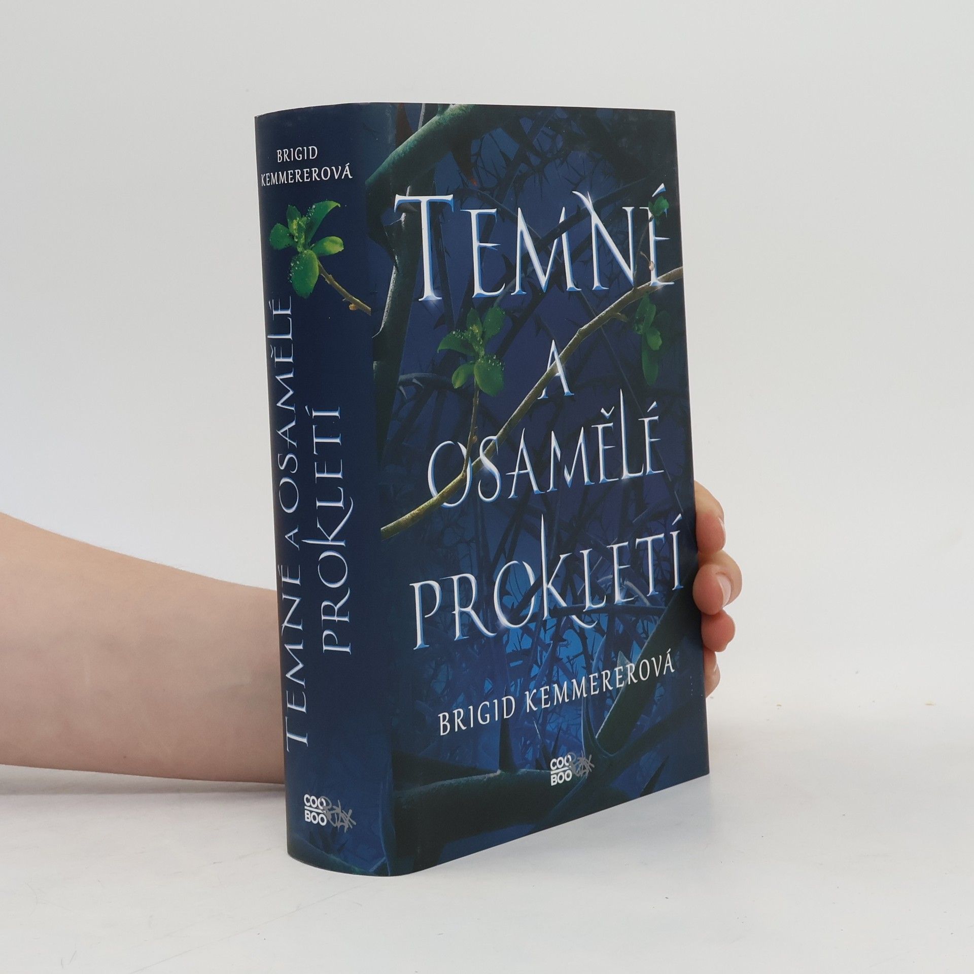 Brigid Kemmerer Temné a osamělé prokletí