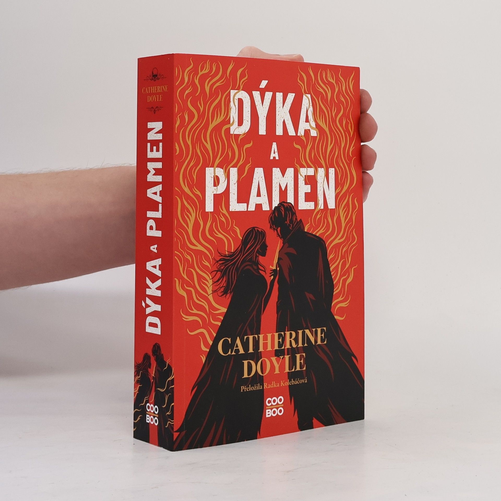 Catherine Doyle Dýka a plamen