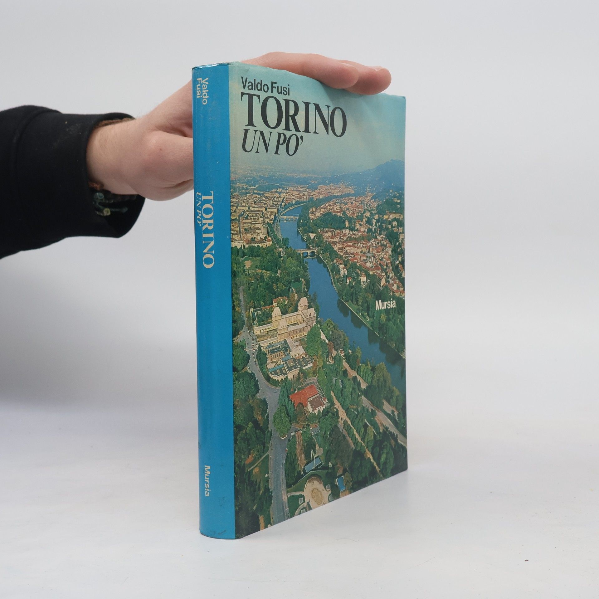 Valdo Fusi Torino
