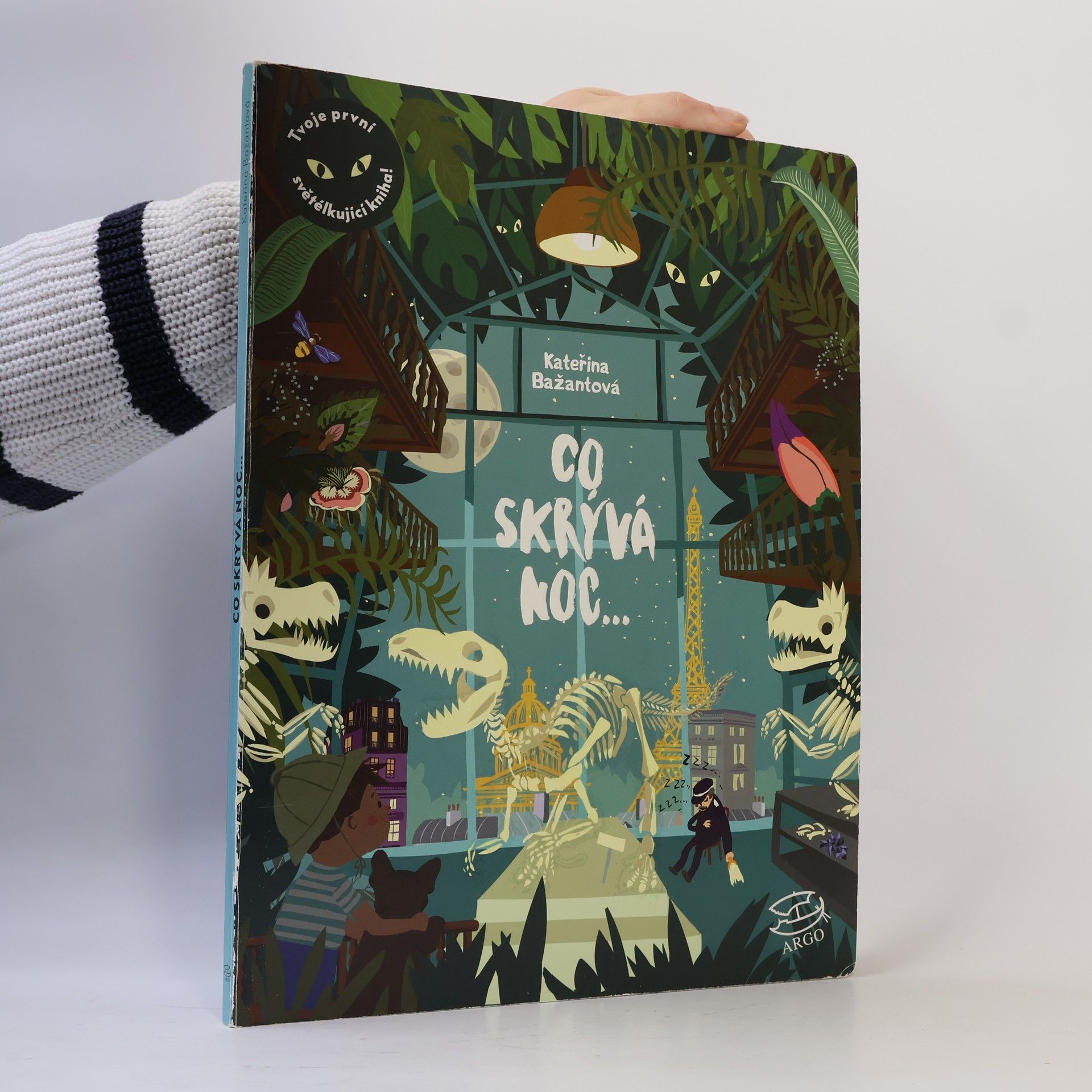 Kateřina Bažantová Boudriot Co skrývá noc