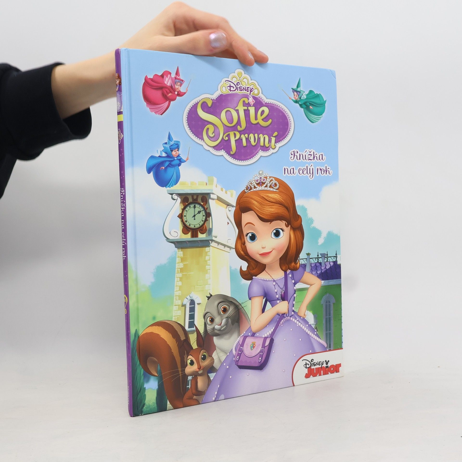 Walt Disney Sofie První - Knížka na celý rok