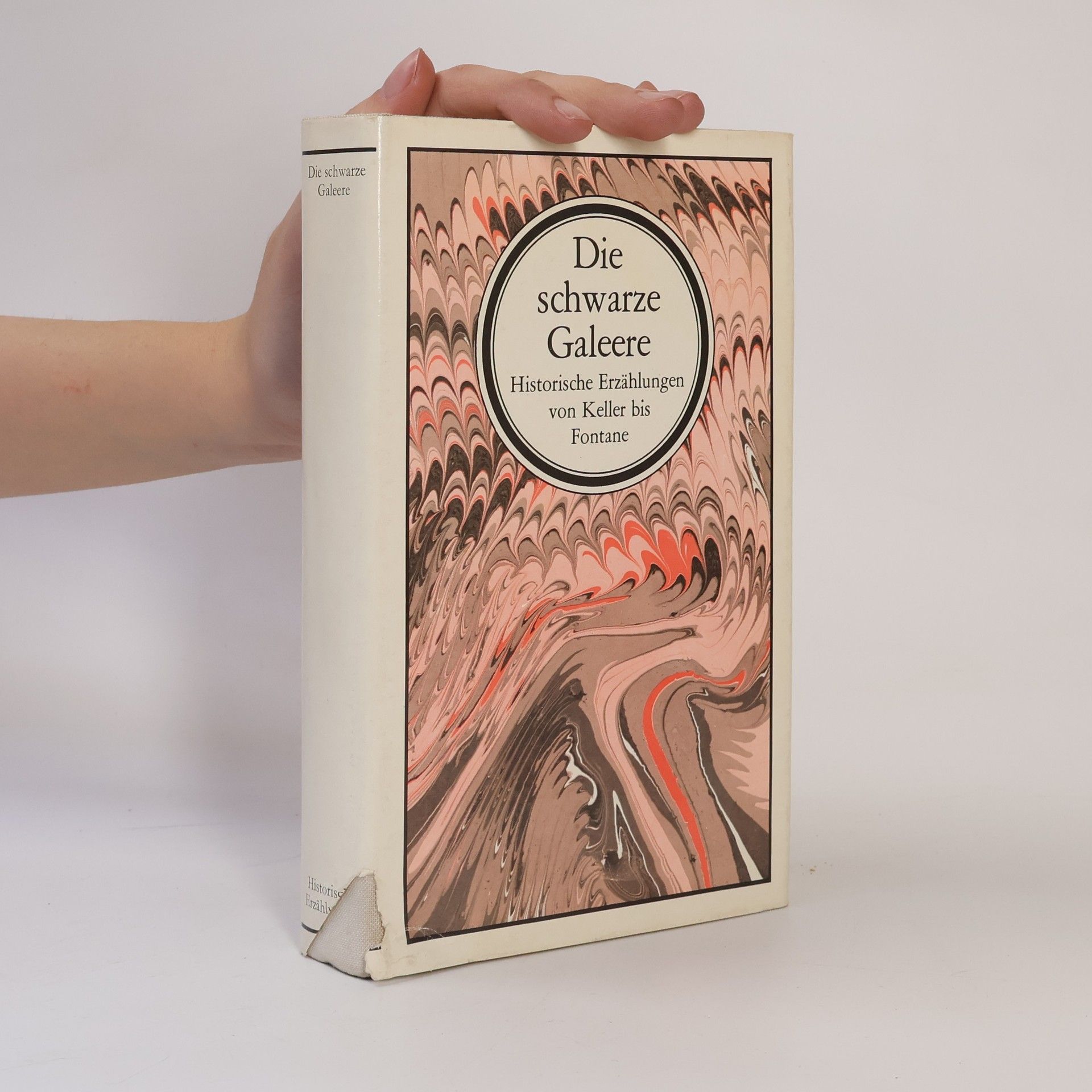 Peter Goldammer Die schwarze Galeere