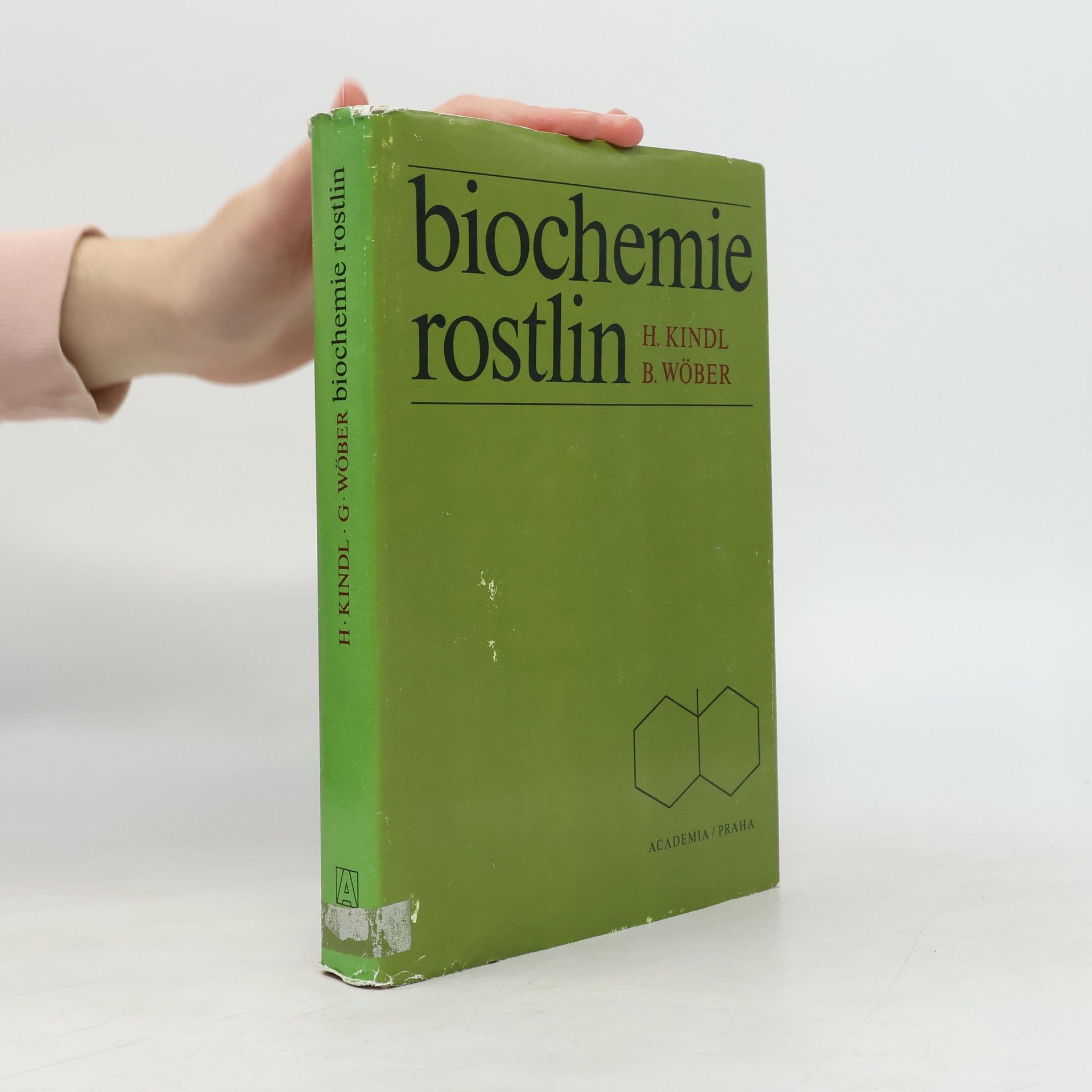 Autorenkollektiv Biochemie rostlin